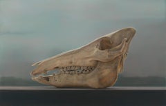 Wildschwein-Schädel - 21. Jahrhundert Zeitgenössische realistische Stillleben Malerei von einem Schädel