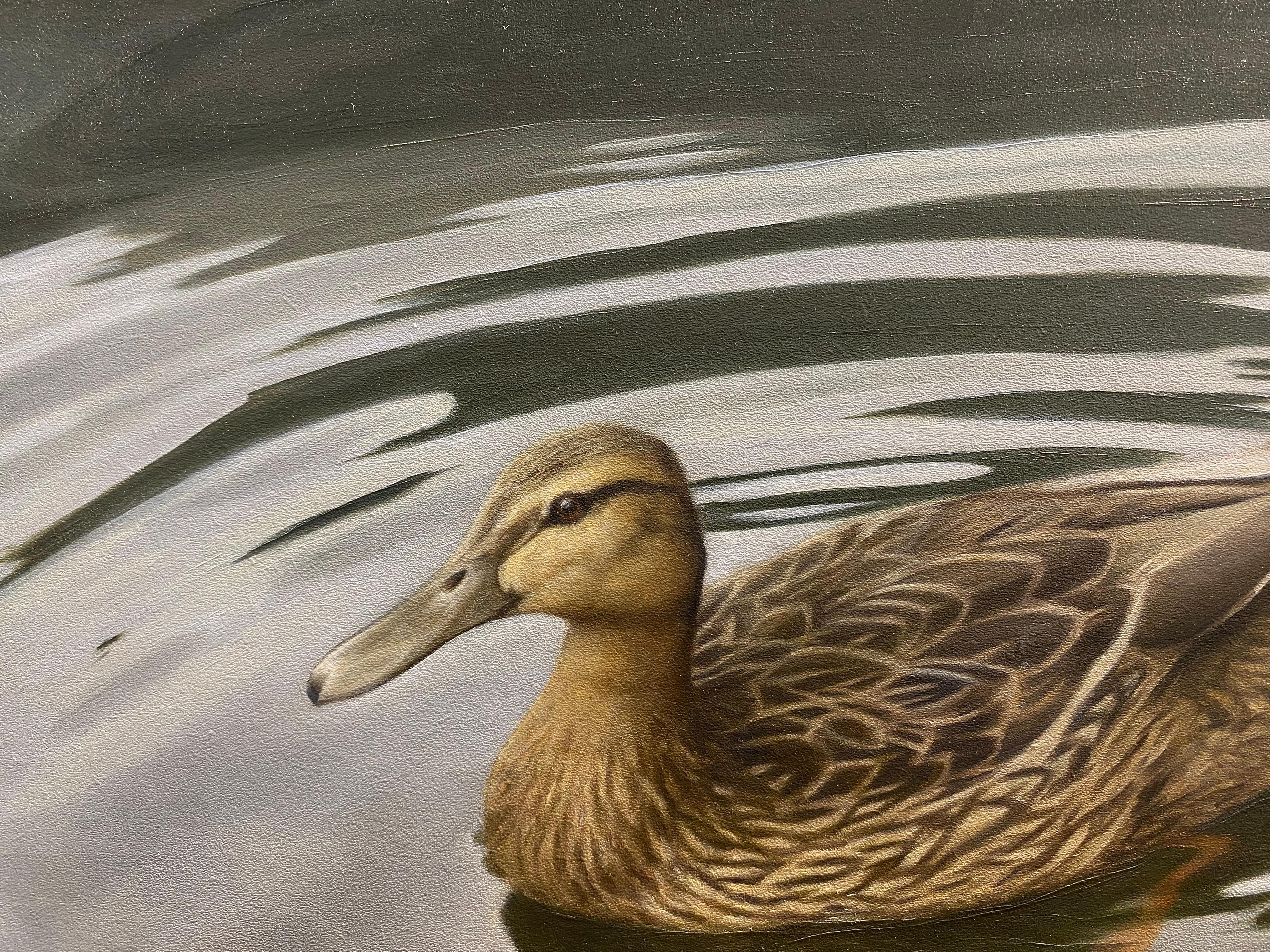 Duck -21st Century Contemporary Realistic Still life Painting of a Bird en vente 1