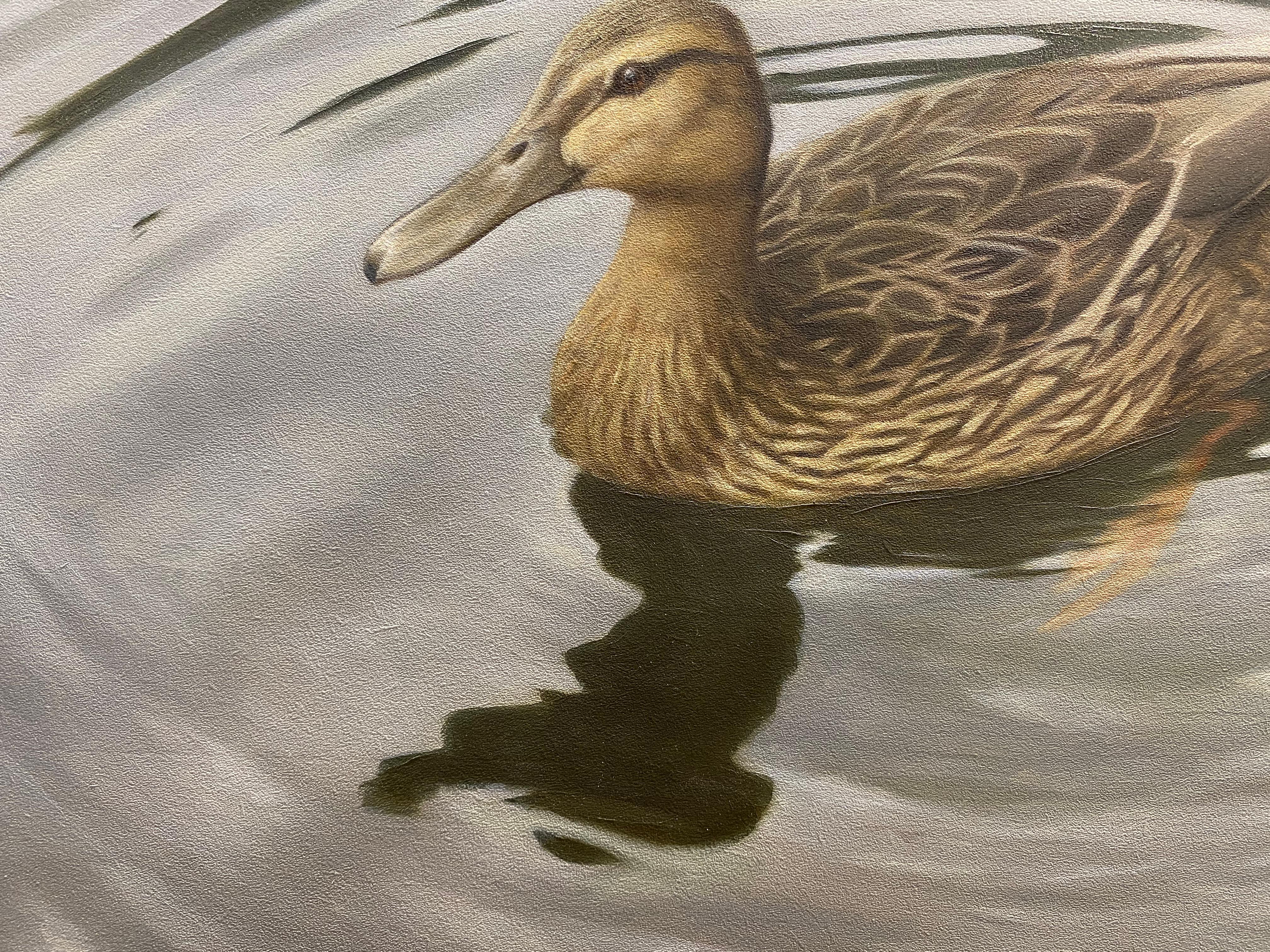 Duck -21st Century Contemporary Realistic Still life Painting of a Bird en vente 2