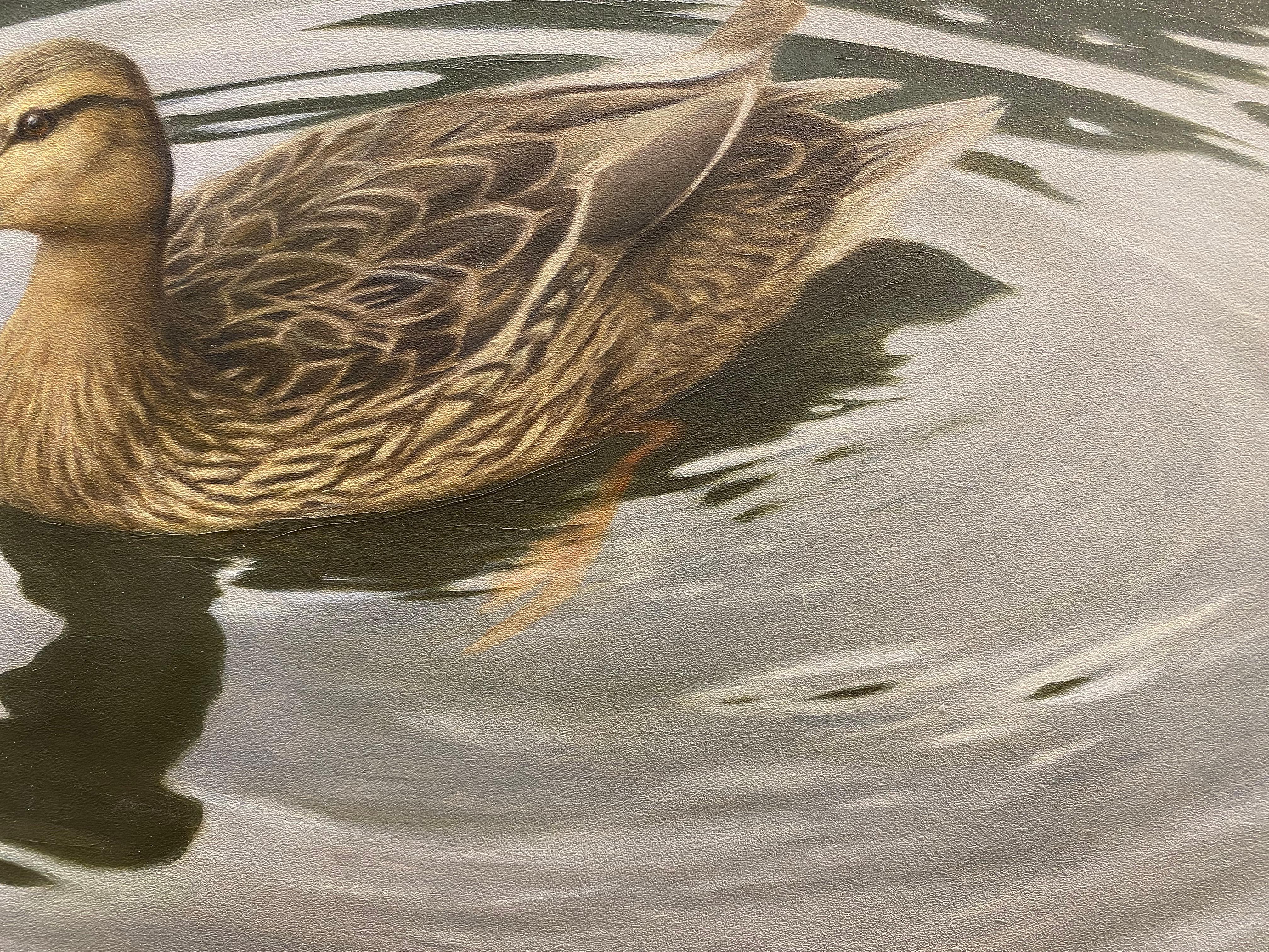 Duck -21st Century Contemporary Realistic Still life Painting of a Bird en vente 3
