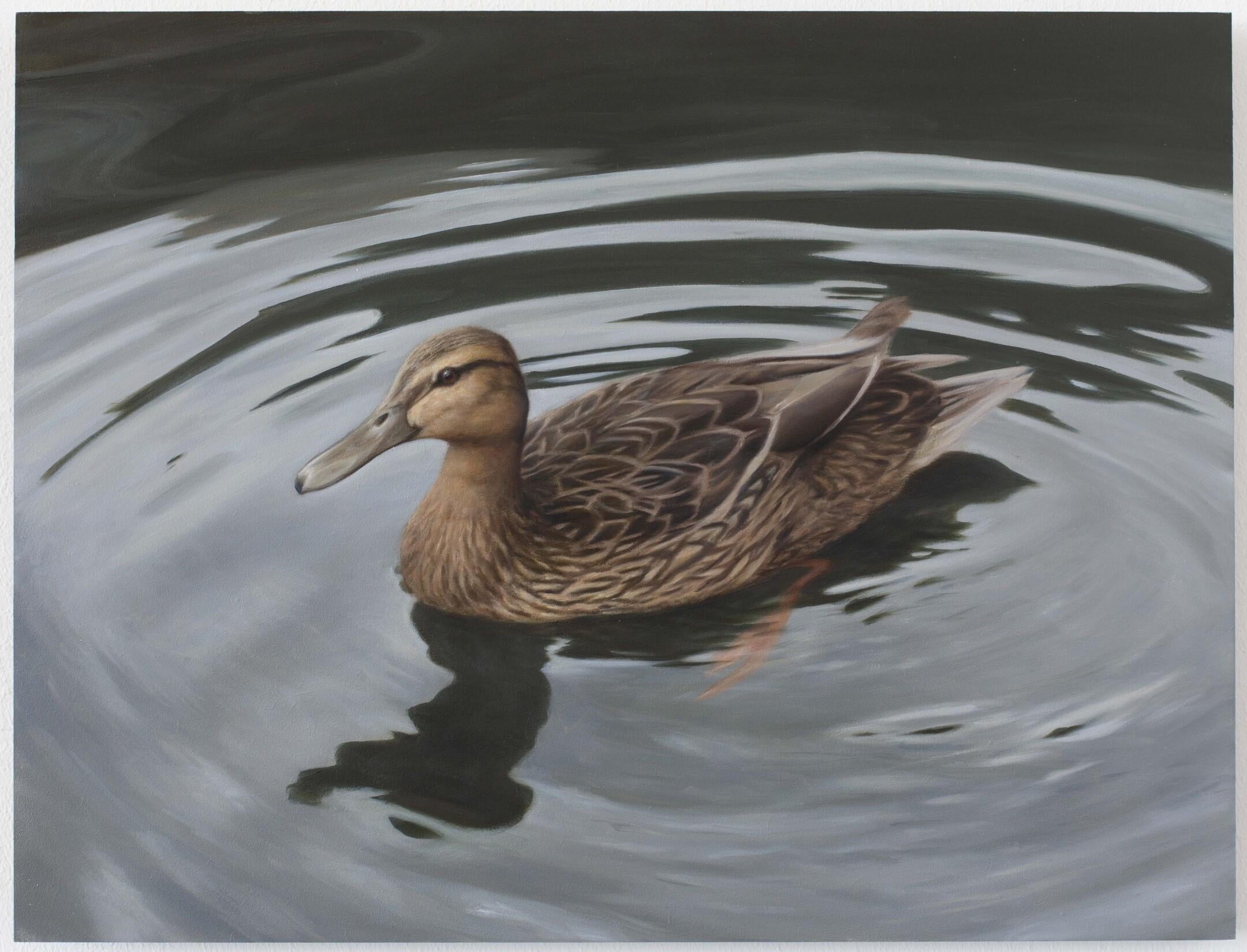 Animal Painting Bart Koning - Duck -21st Century Contemporary Realistic Still life Painting of a Bird