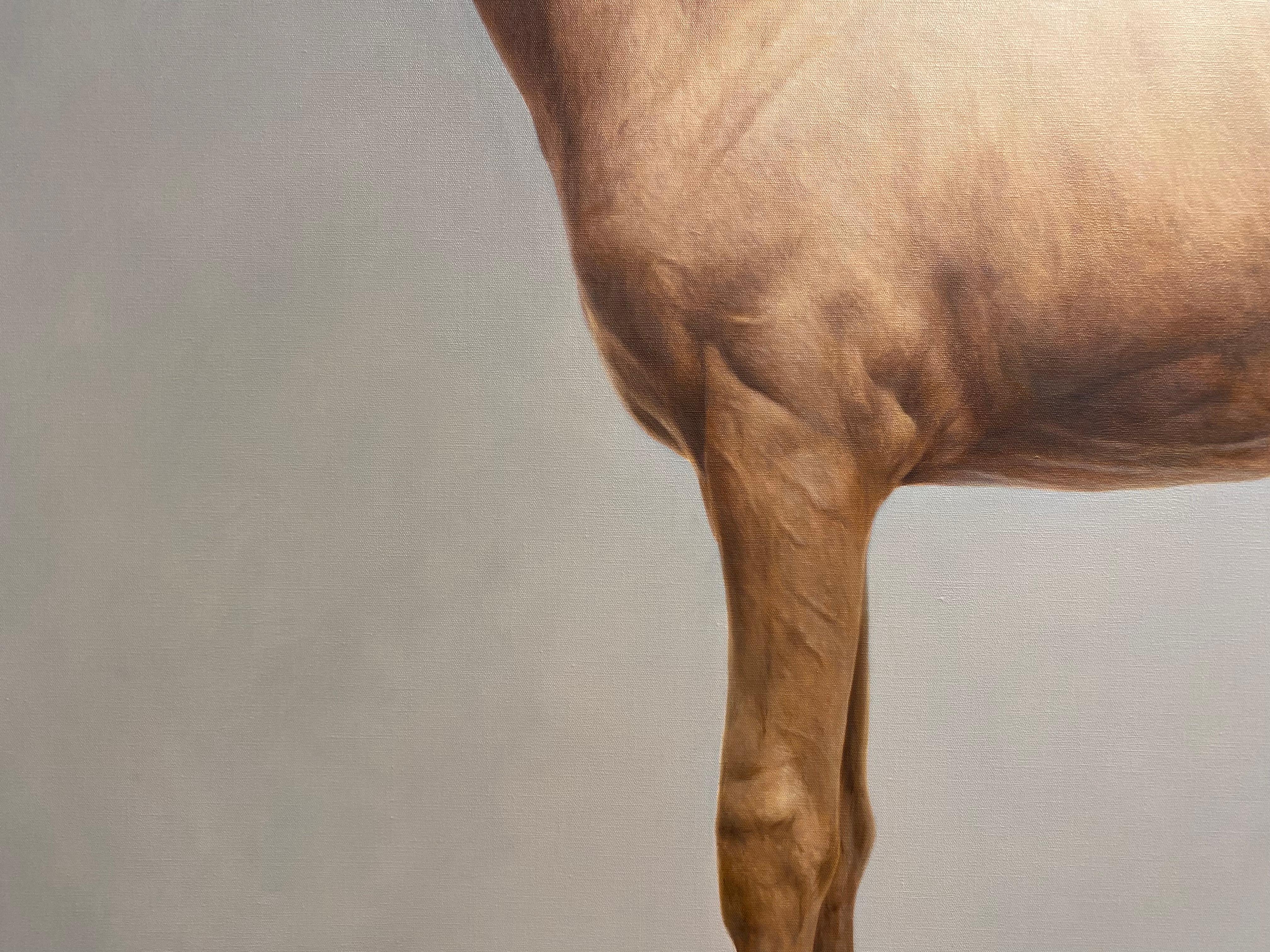 Fowl- 21 Jahrhundert Contemporary hyperrealistische Ölgemälde von Pferd im Angebot 2