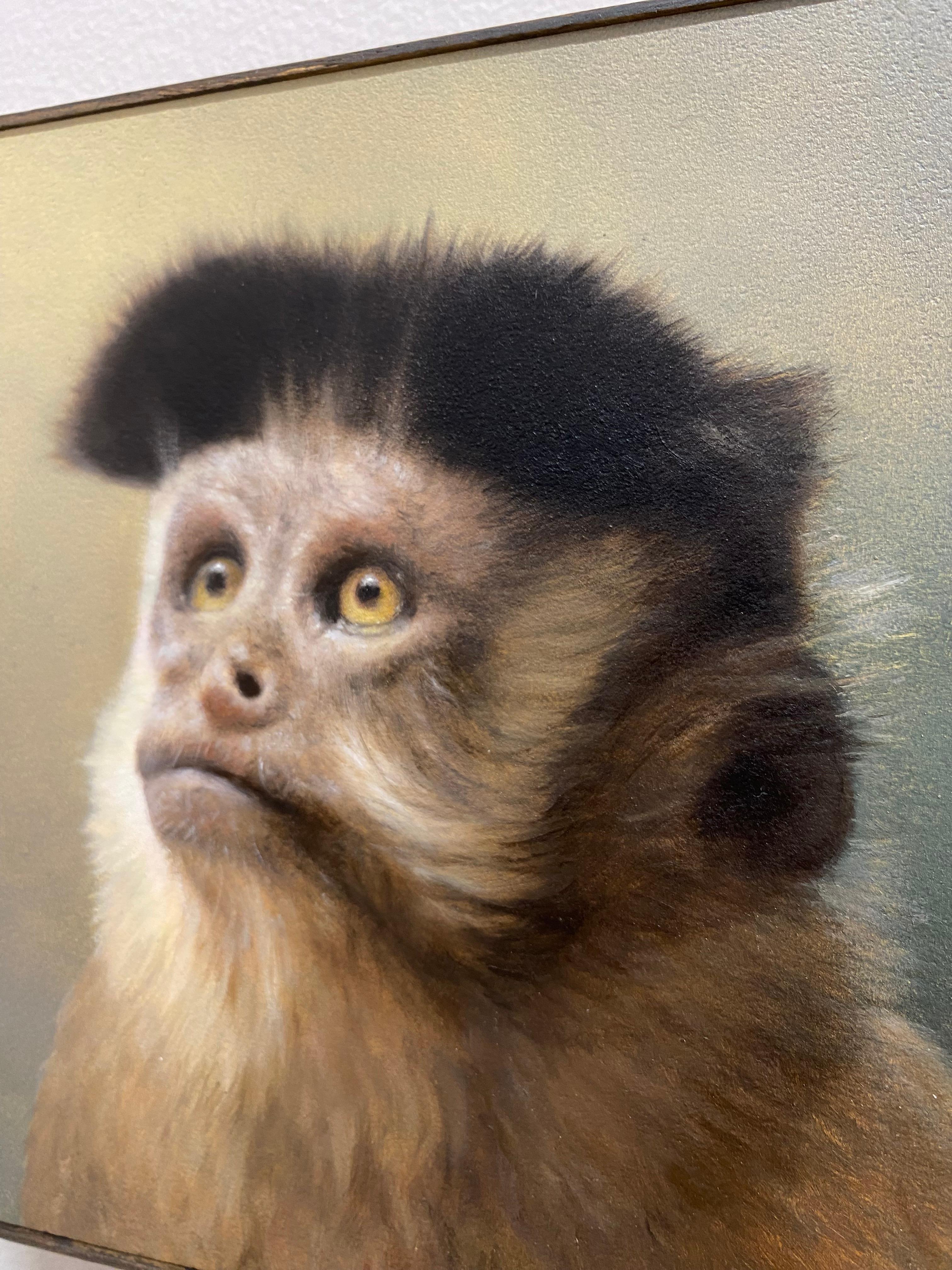 Monky -21. Jahrhundert Zeitgenössisches realistisches Stilleben eines Tieres im Angebot 1