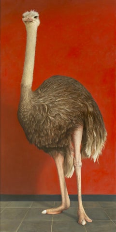 Ostrich in Front of a Red Wall -21st Century Contemporary Realistic Painting
