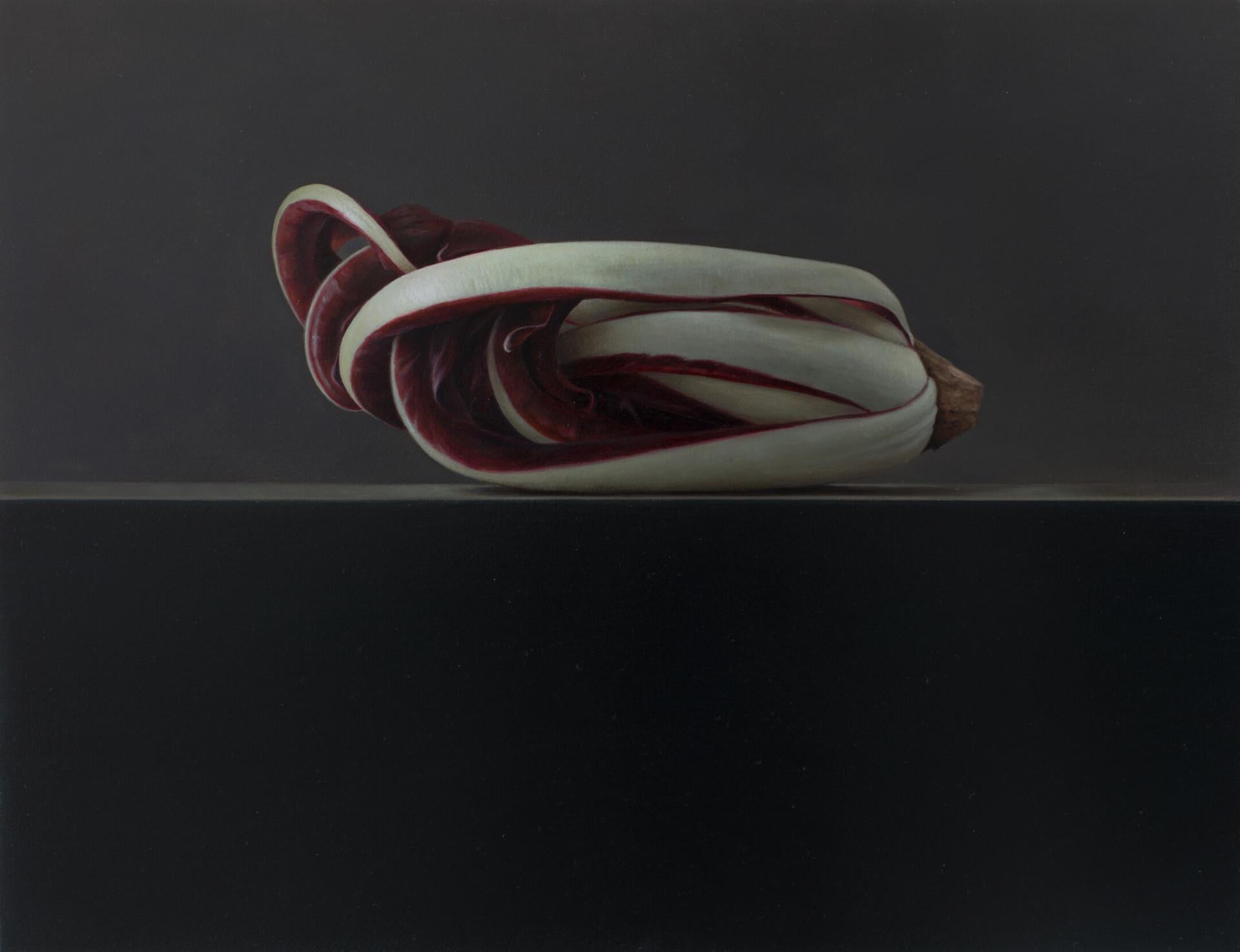 Radicchio di Treviso - 21. Jahrhundert Zeitgenössische Realistische Stilleben Malerei