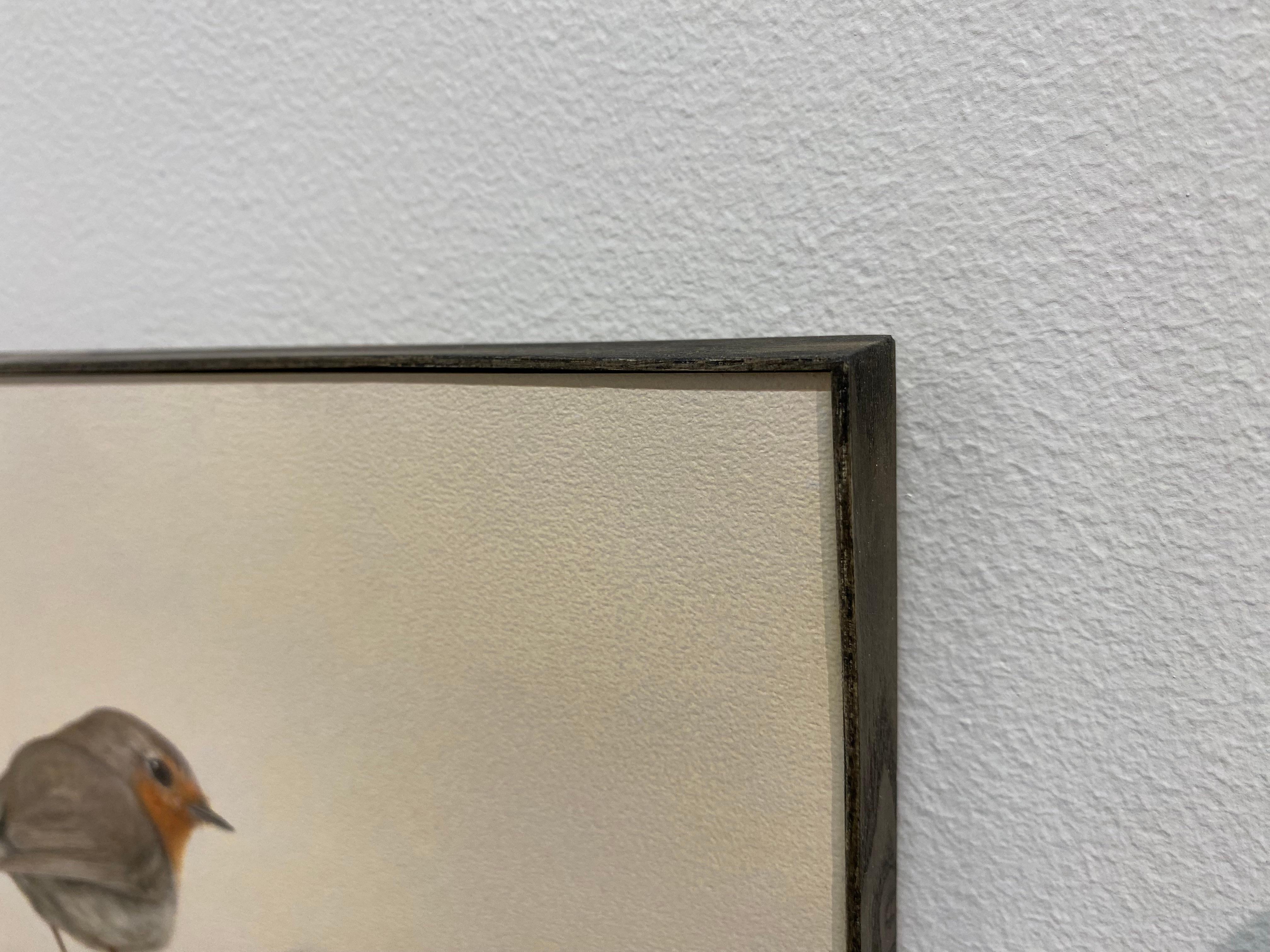 Robin -21st Century Contemporary Realistic Still life Painting of a Bird For Sale 7
