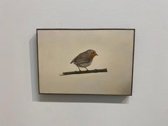 Robin -21e siècle - Nature morte réaliste contemporaine d'un oiseau