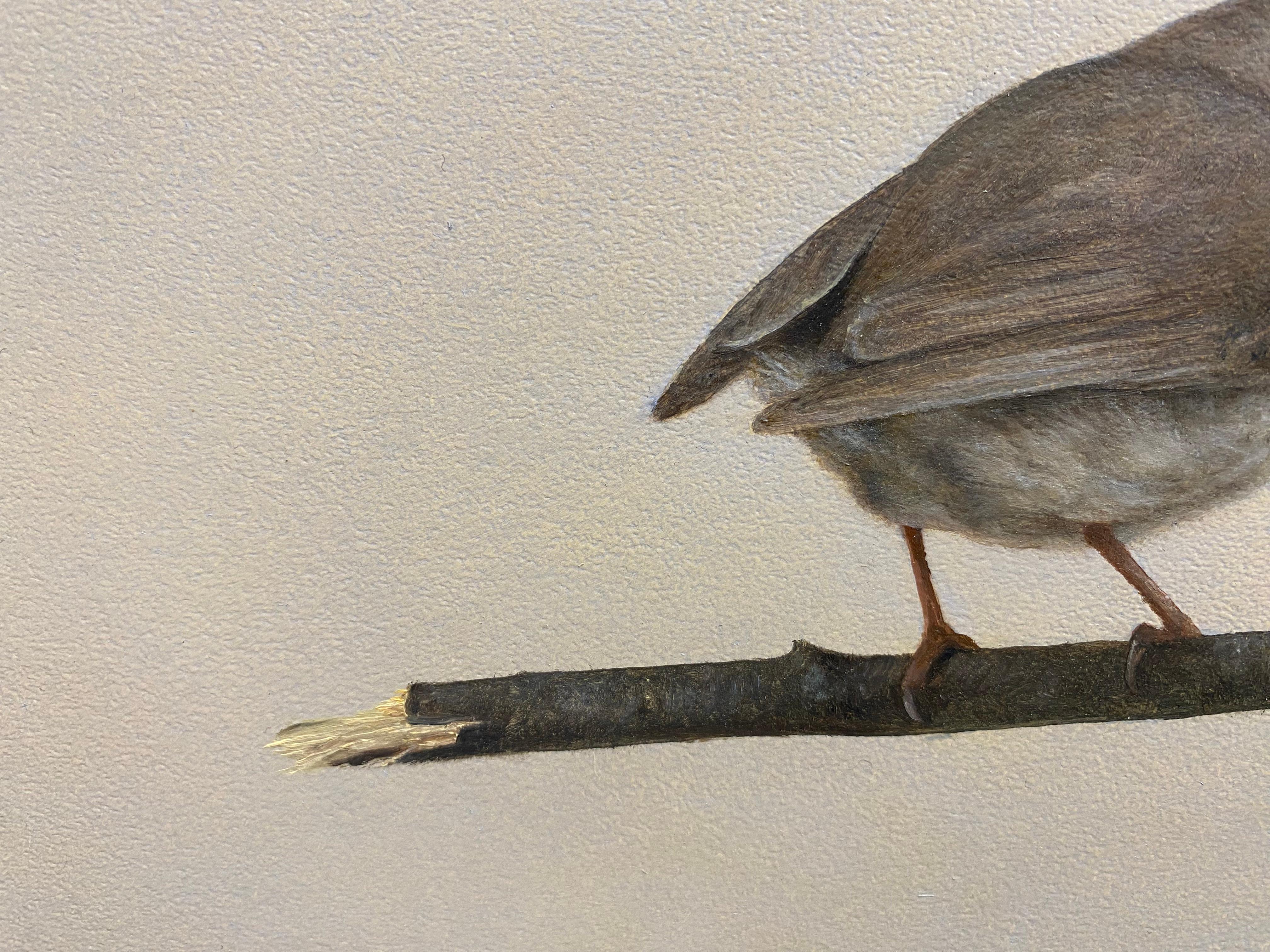 Robin -21st Century Contemporary Realistic Still life Painting of a Bird For Sale 1