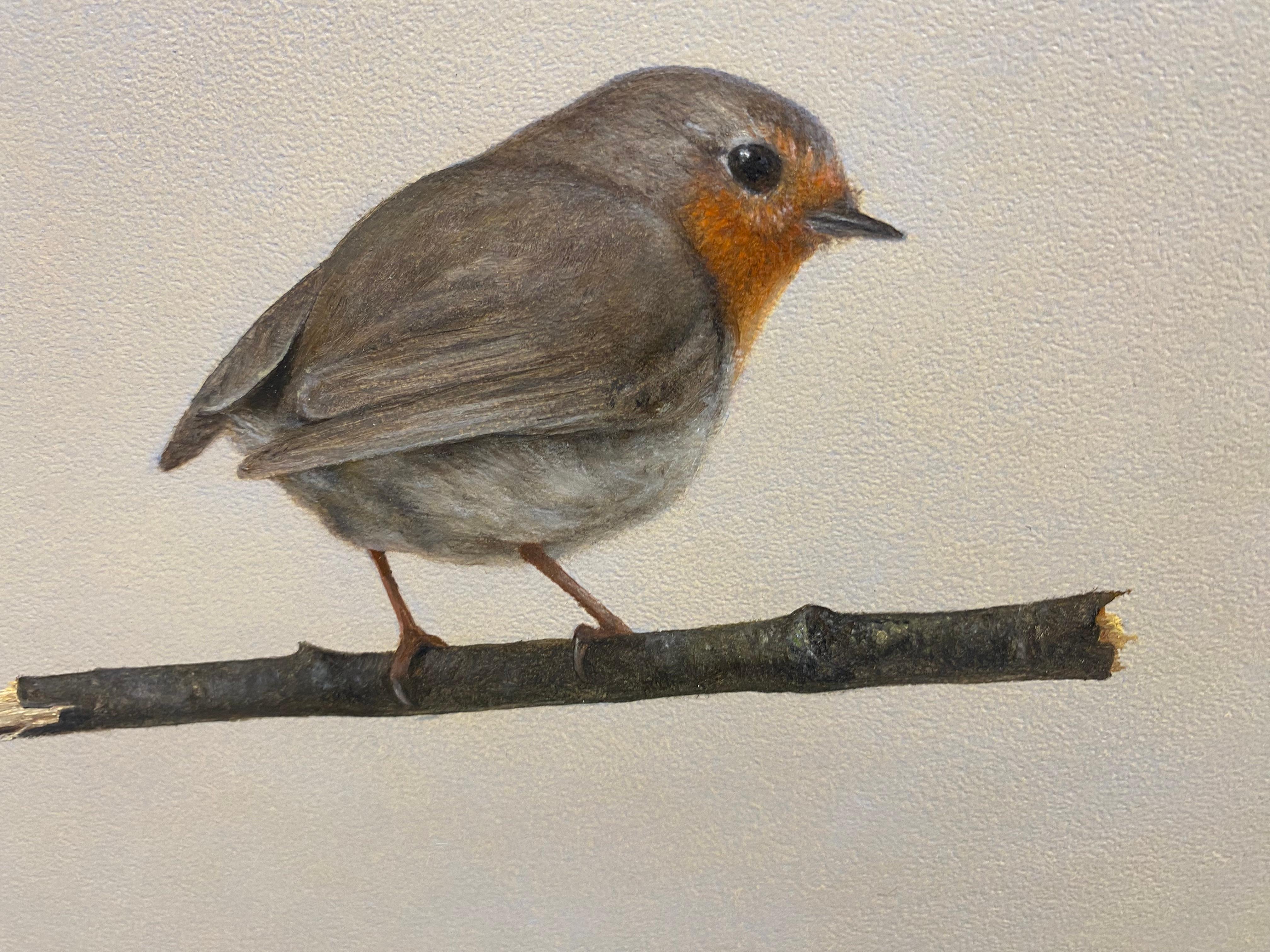 Robin -21st Century Contemporary Realistic Still life Painting of a Bird For Sale 2