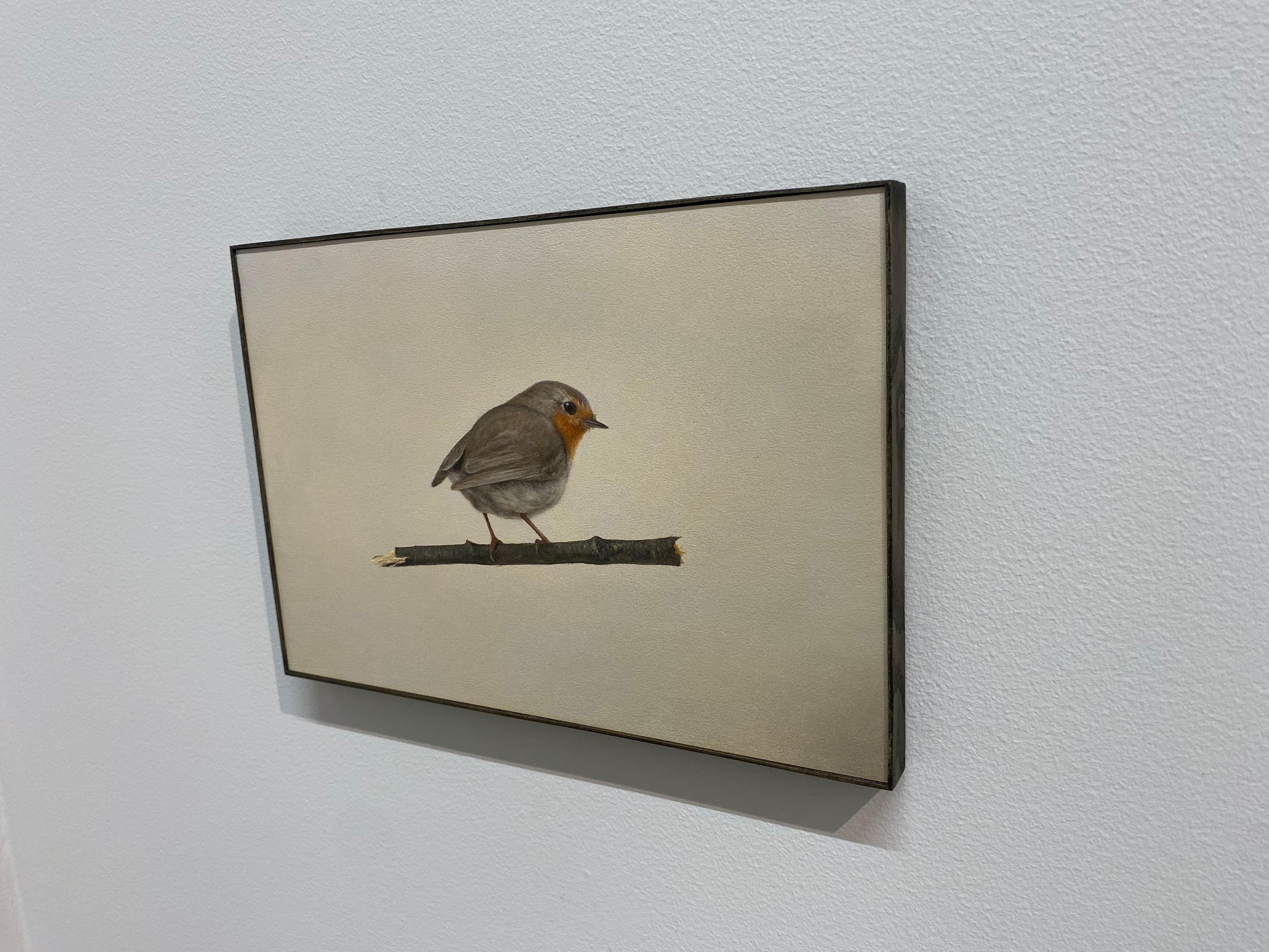 Robin -21st Century Contemporary Realistic Still life Painting of a Bird For Sale 4