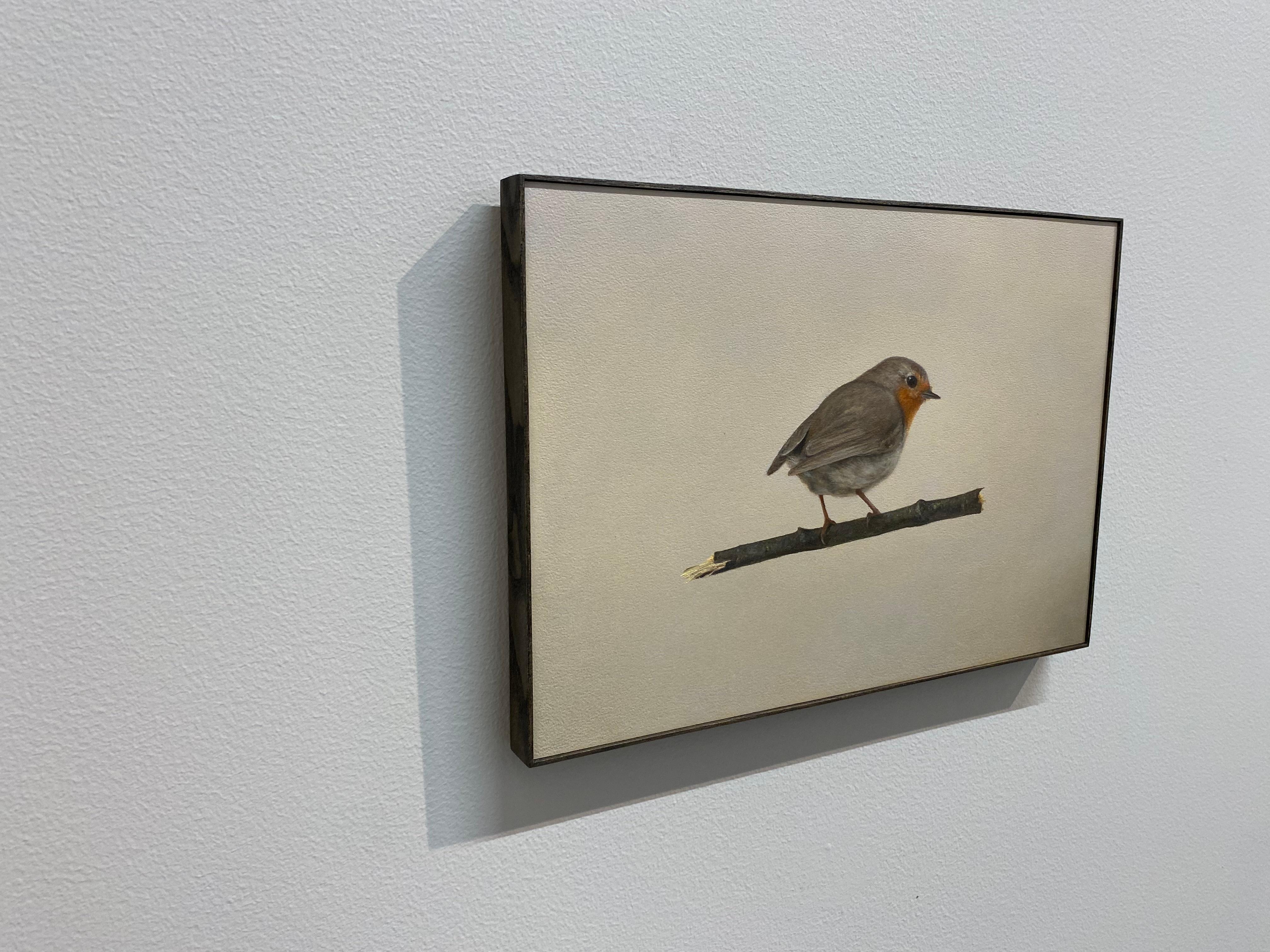 Robin -21st Century Contemporary Realistic Still life Painting of a Bird For Sale 5