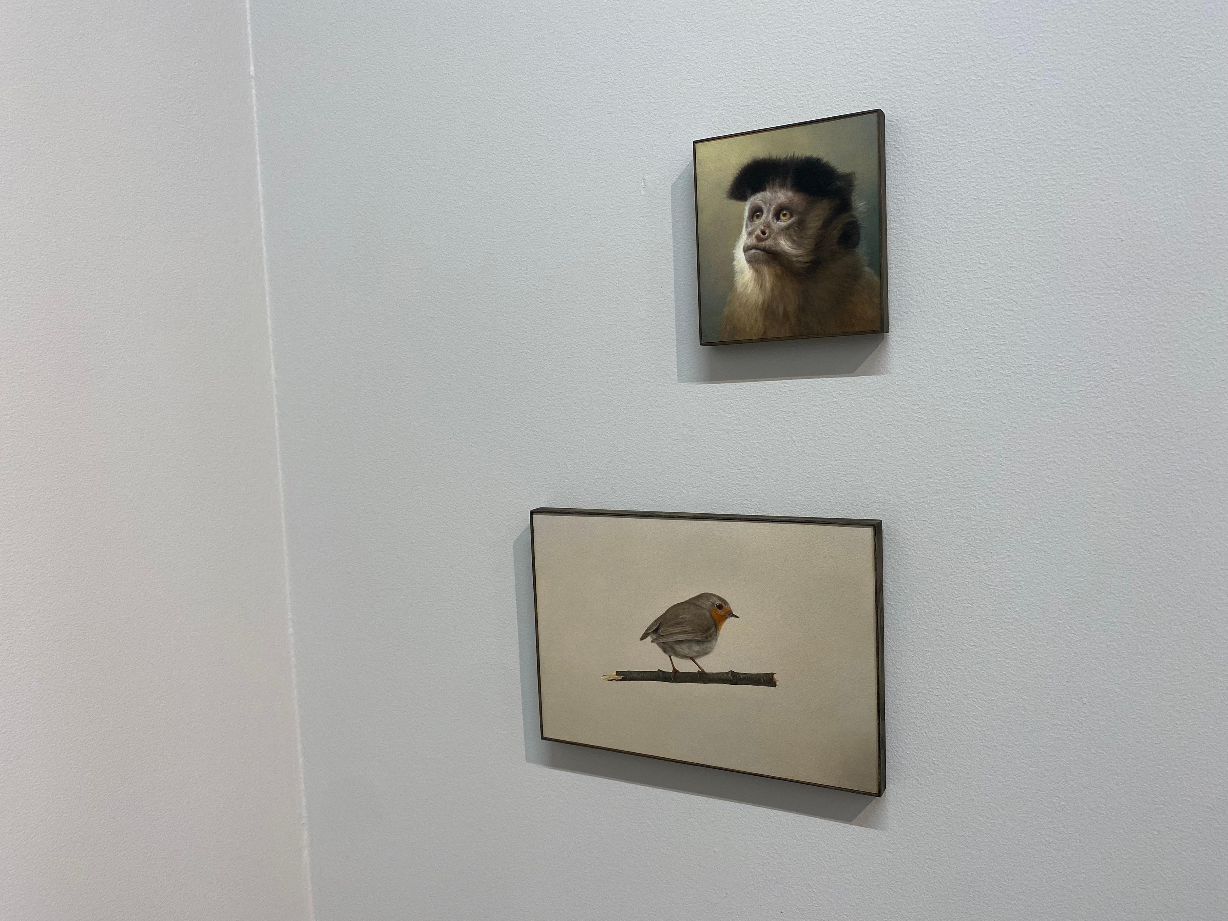 Robin -21st Century Contemporary Realistic Still life Painting of a Bird For Sale 6
