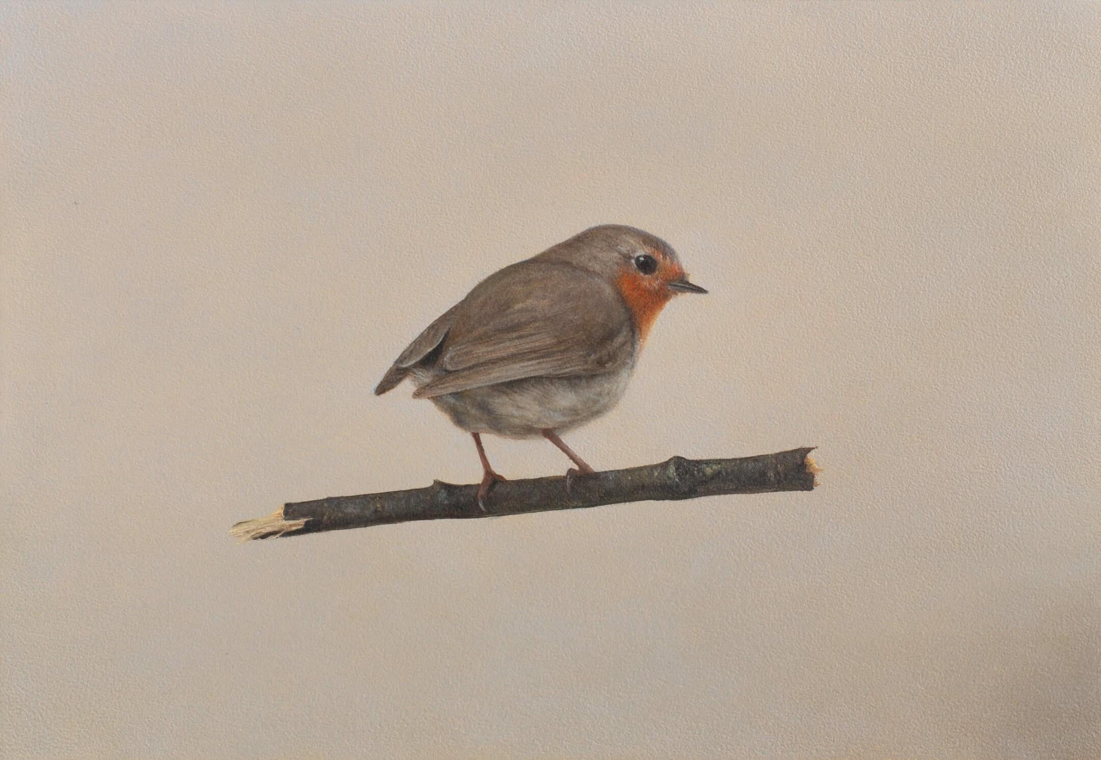 Bart Koning Figurative Painting - Robin -21st Century Contemporary Realistic Still life Painting of a Bird