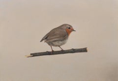 Animal Paintings