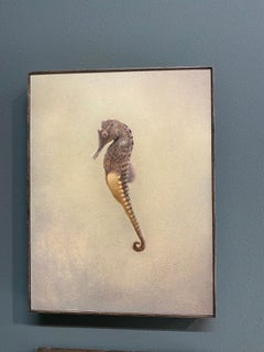 Seahorse II -21st Century Contemporary Realistic Still Life Painting of a Fish