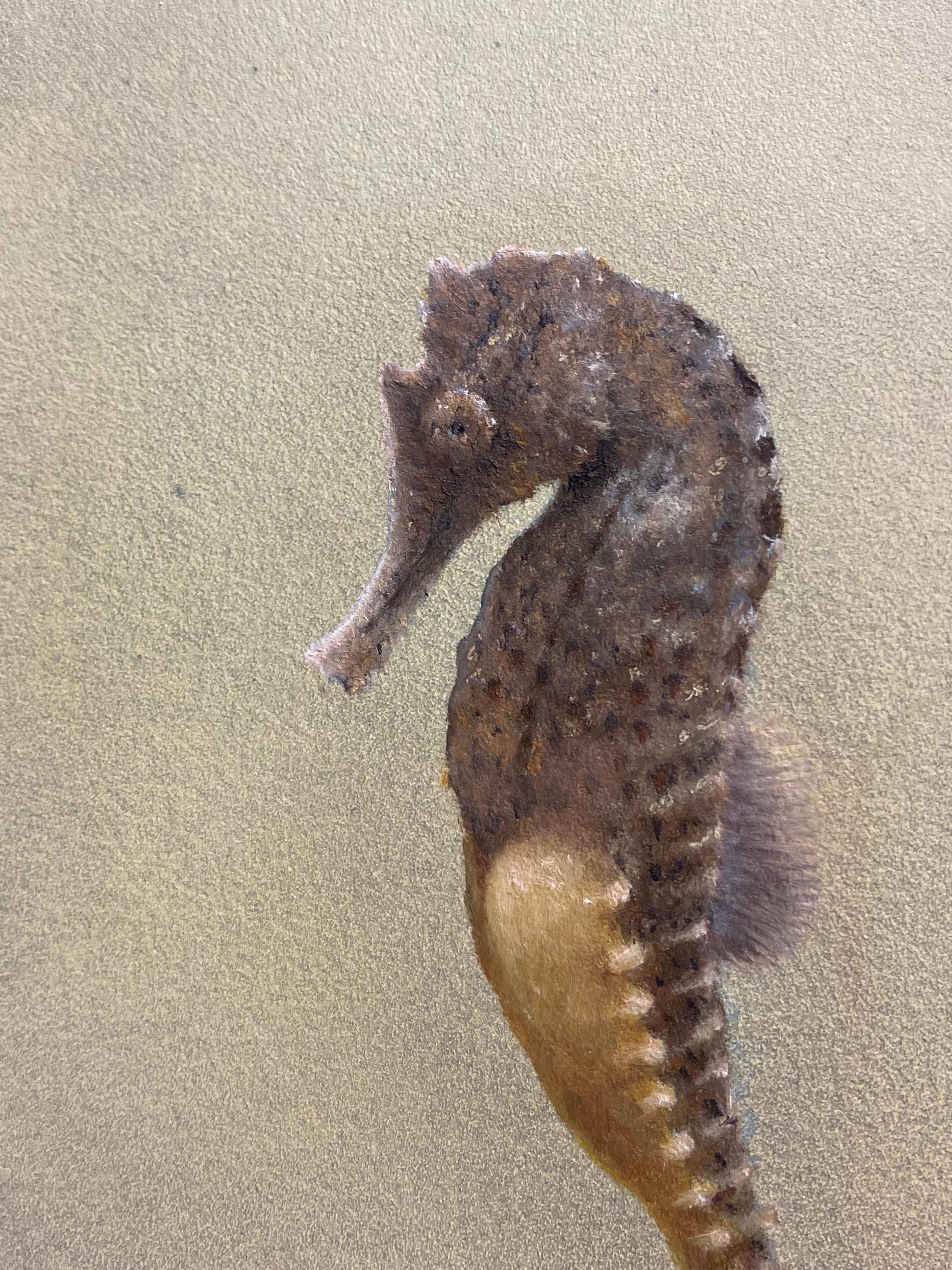 Seahorse II -21st Century Contemporary Realistic Still Life Painting of a Fish For Sale 1