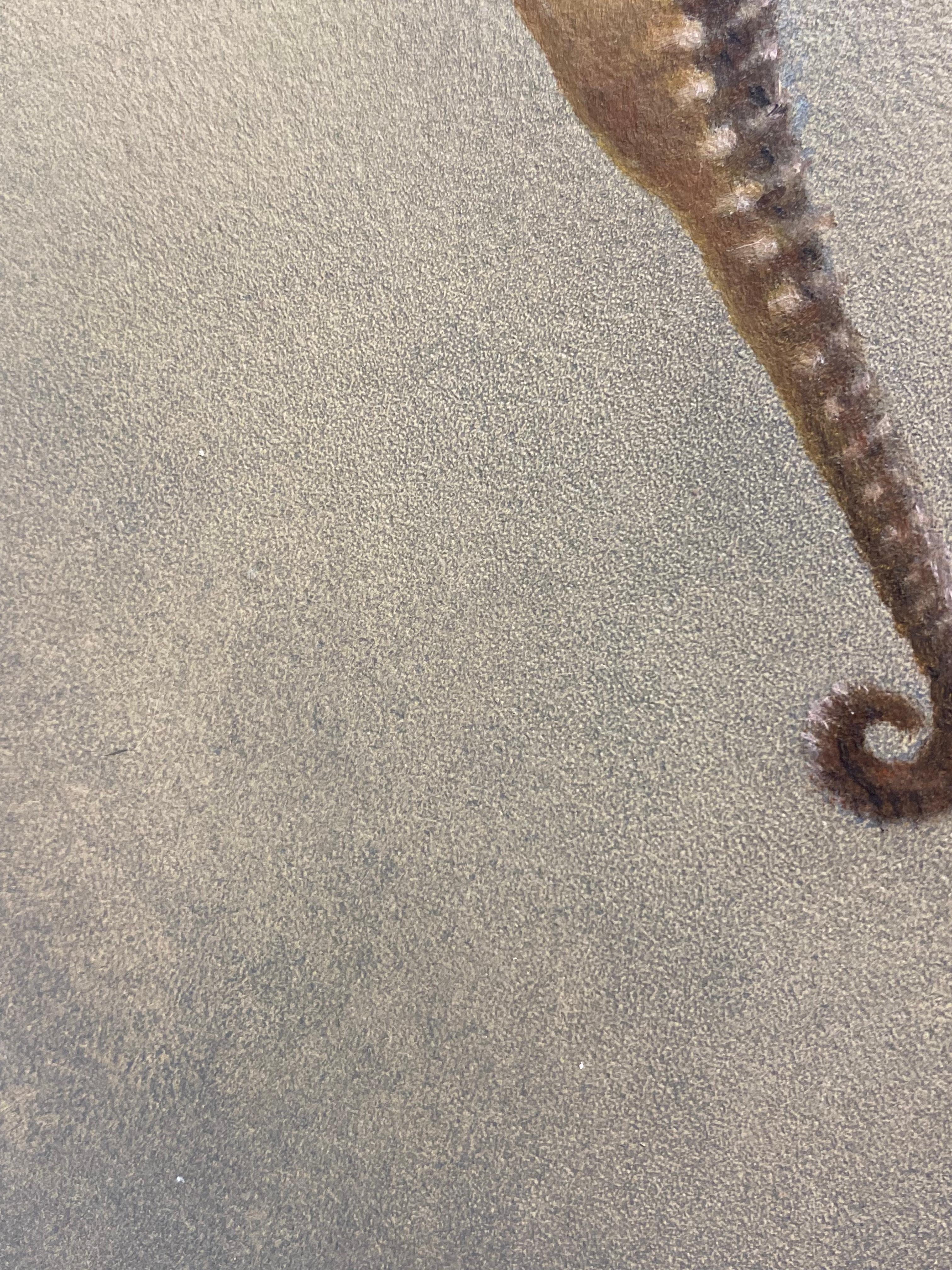 Seahorse II -21st Century Contemporary Realistic Still Life Painting of a Fish For Sale 2