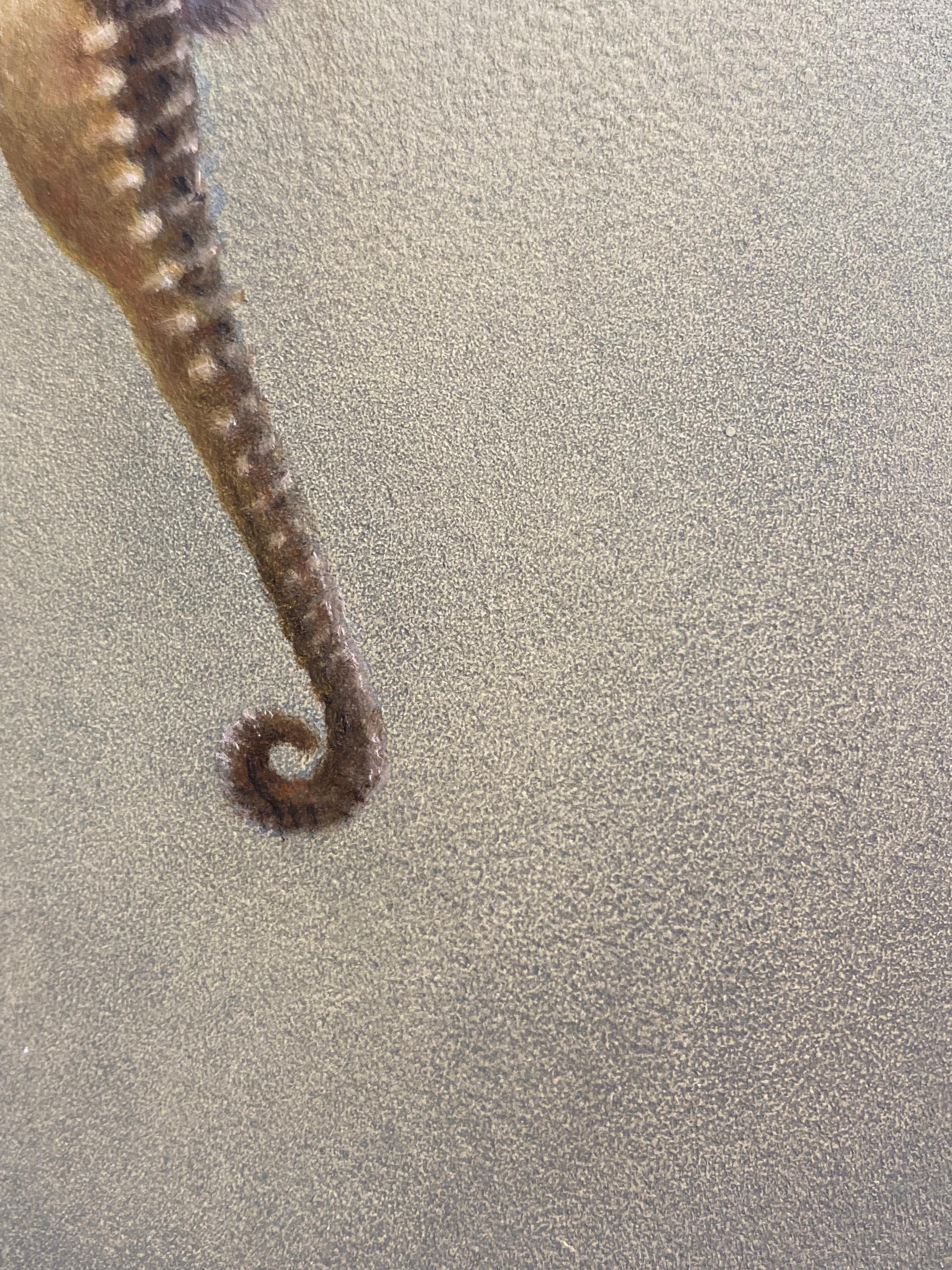 Seahorse II -21st Century Contemporary Realistic Still Life Painting of a Fish For Sale 3