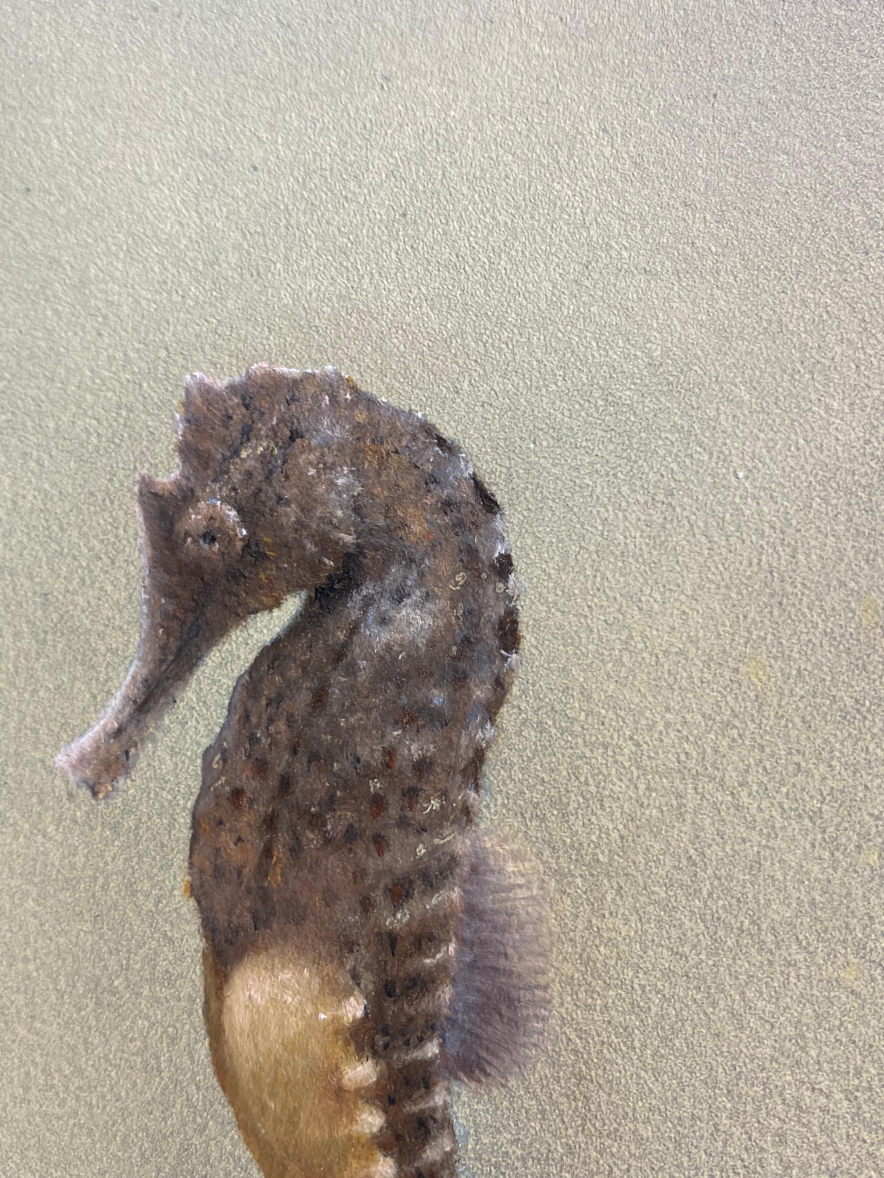 Seahorse II -21st Century Contemporary Realistic Still Life Painting of a Fish For Sale 4