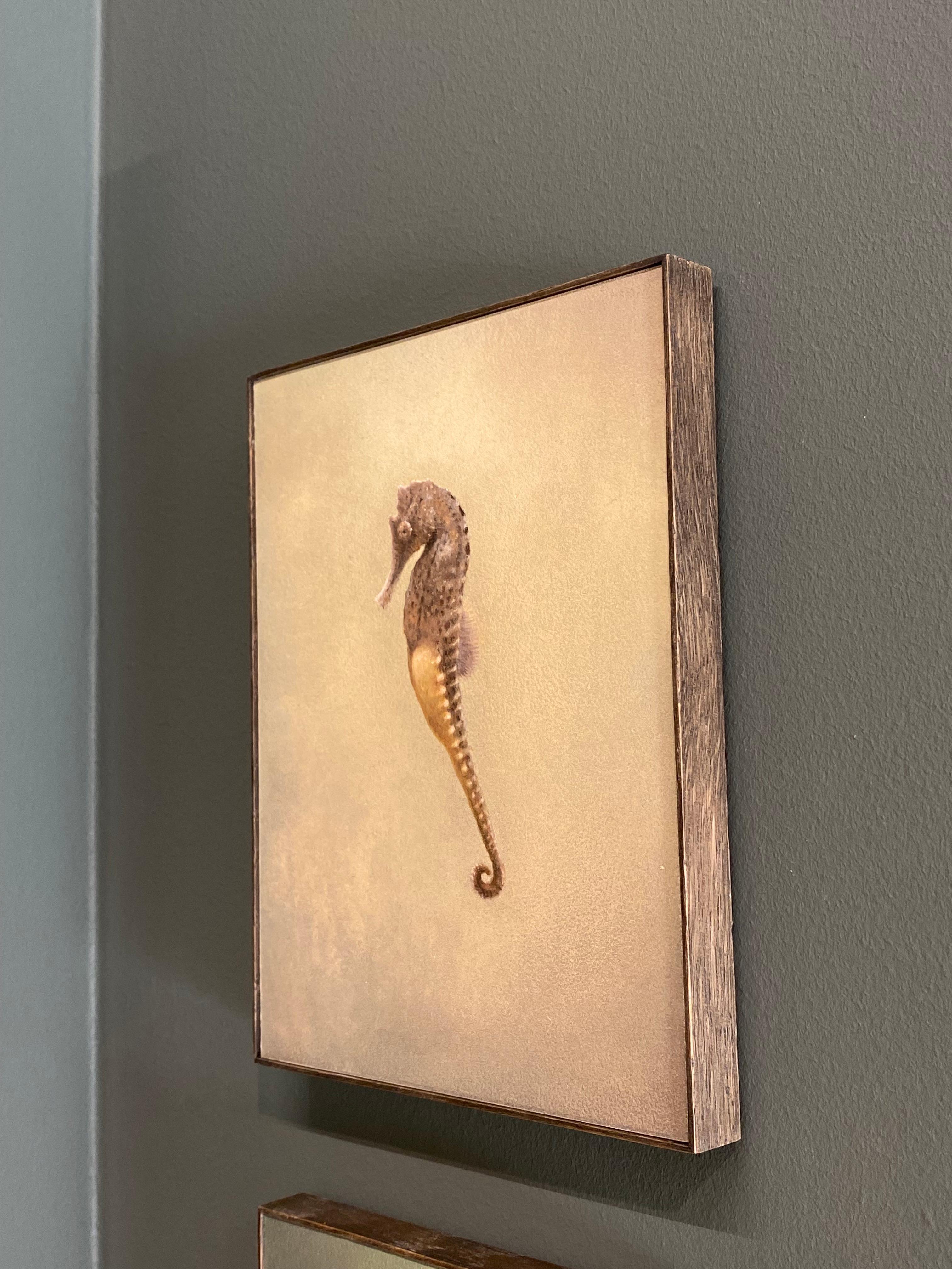 Seahorse II -21st Century Contemporary Realistic Still Life Painting of a Fish For Sale 5