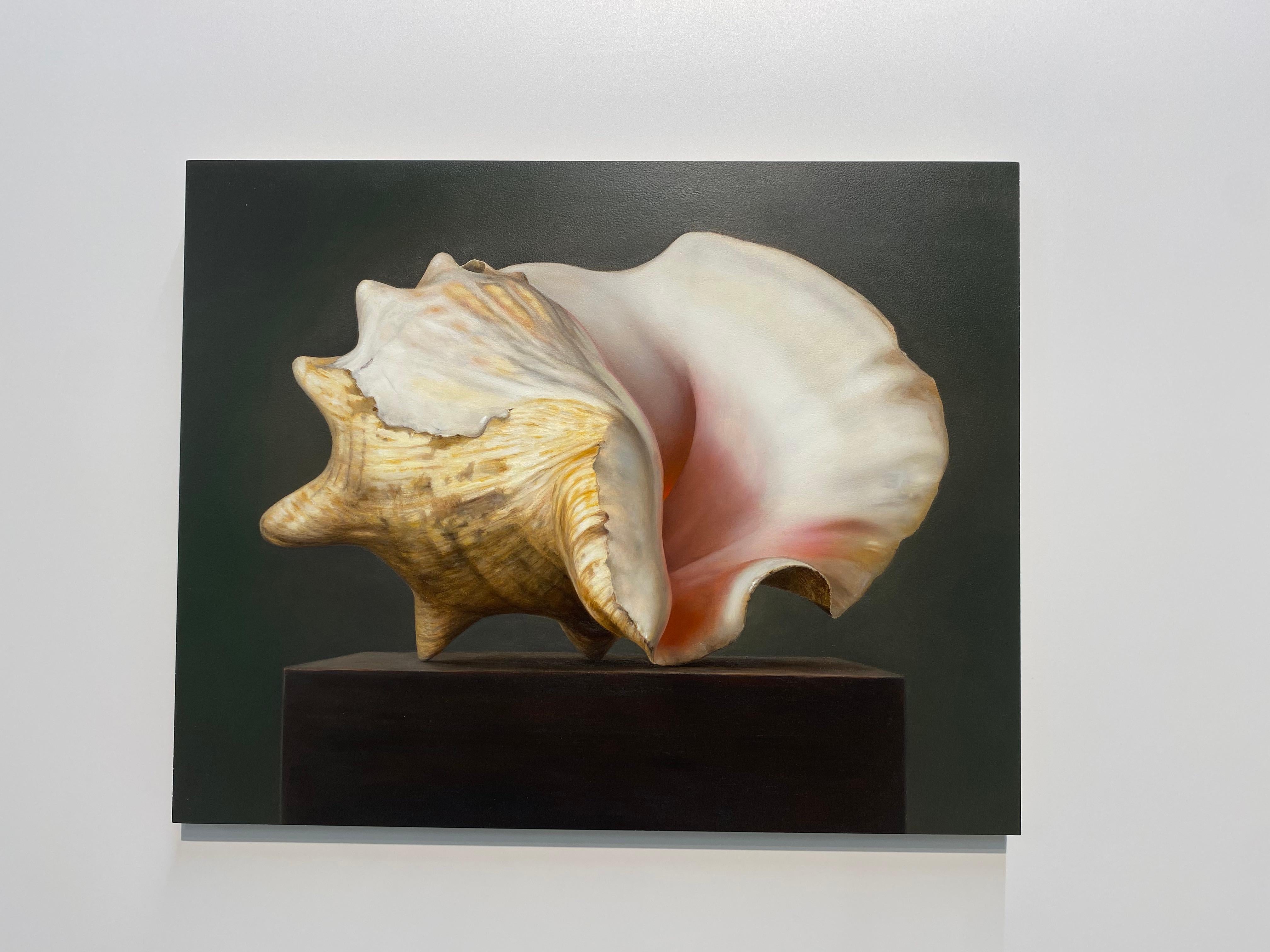 Shell -21st Century Contemporary Realistic Still life Painting of a Sea Shell (Schwarz), Still-Life Painting, von Bart Koning