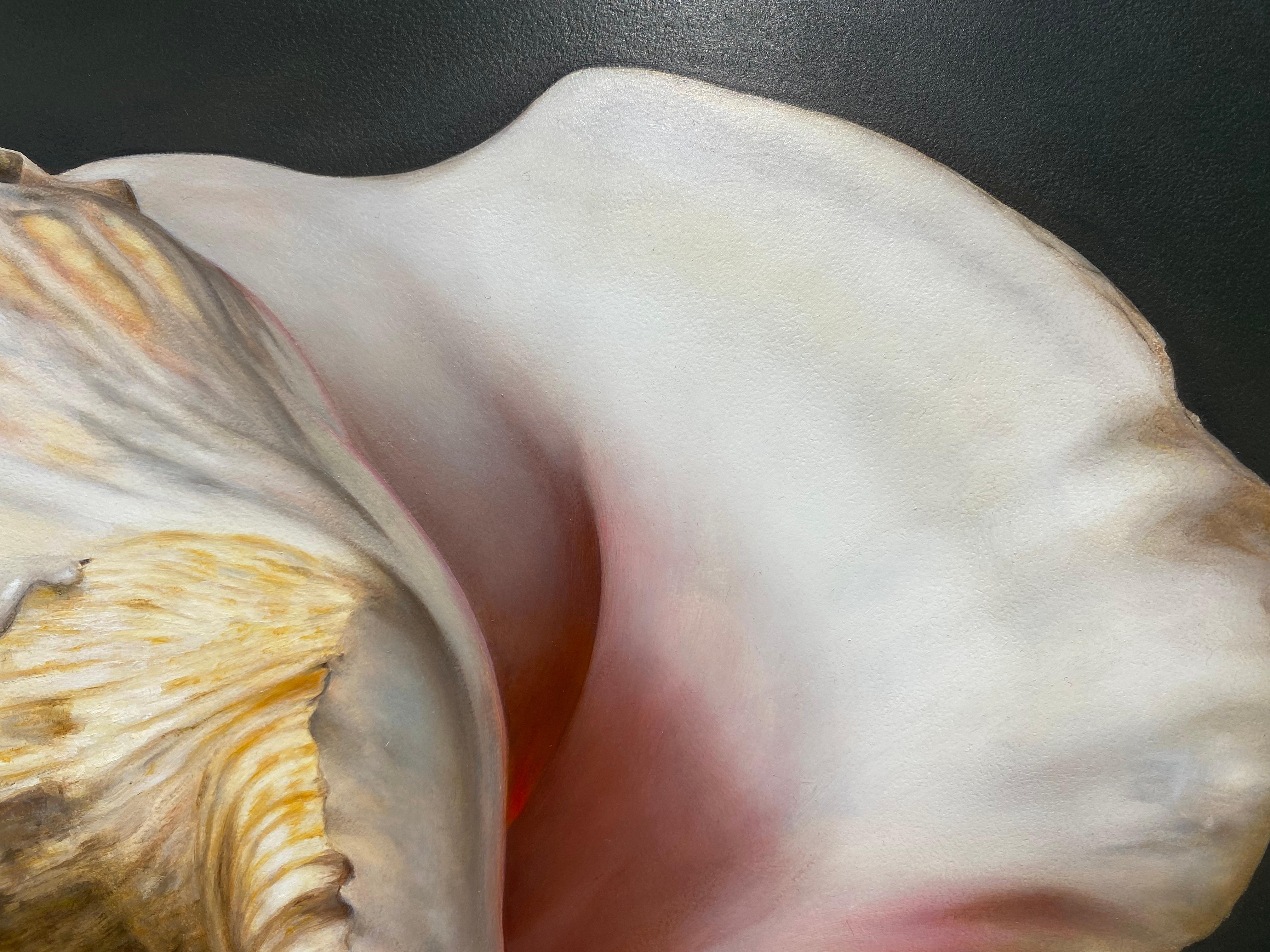 Bart Koning (Dutch artist)
Shell
36 x 45 cm (not framed)
Oil paint on wood panel

We're proud to introduce Dutch/ German artist Bart Koning.

Incredibly clever how the originally Dutch Bart Koning knows how to make all subjects his subject in a