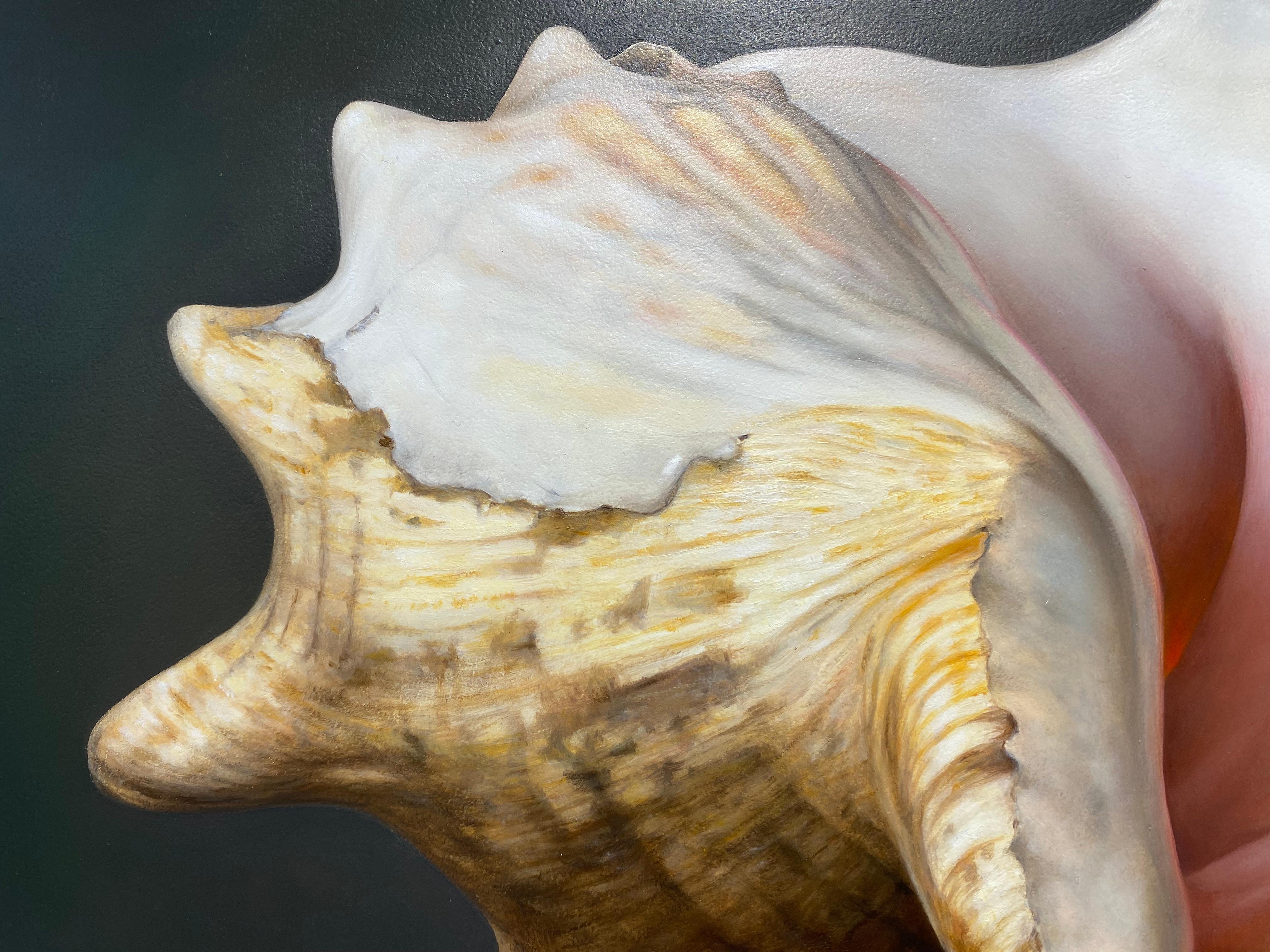 Shell -21st Century Contemporary Realistic Still life Painting of a Sea Shell im Angebot 1