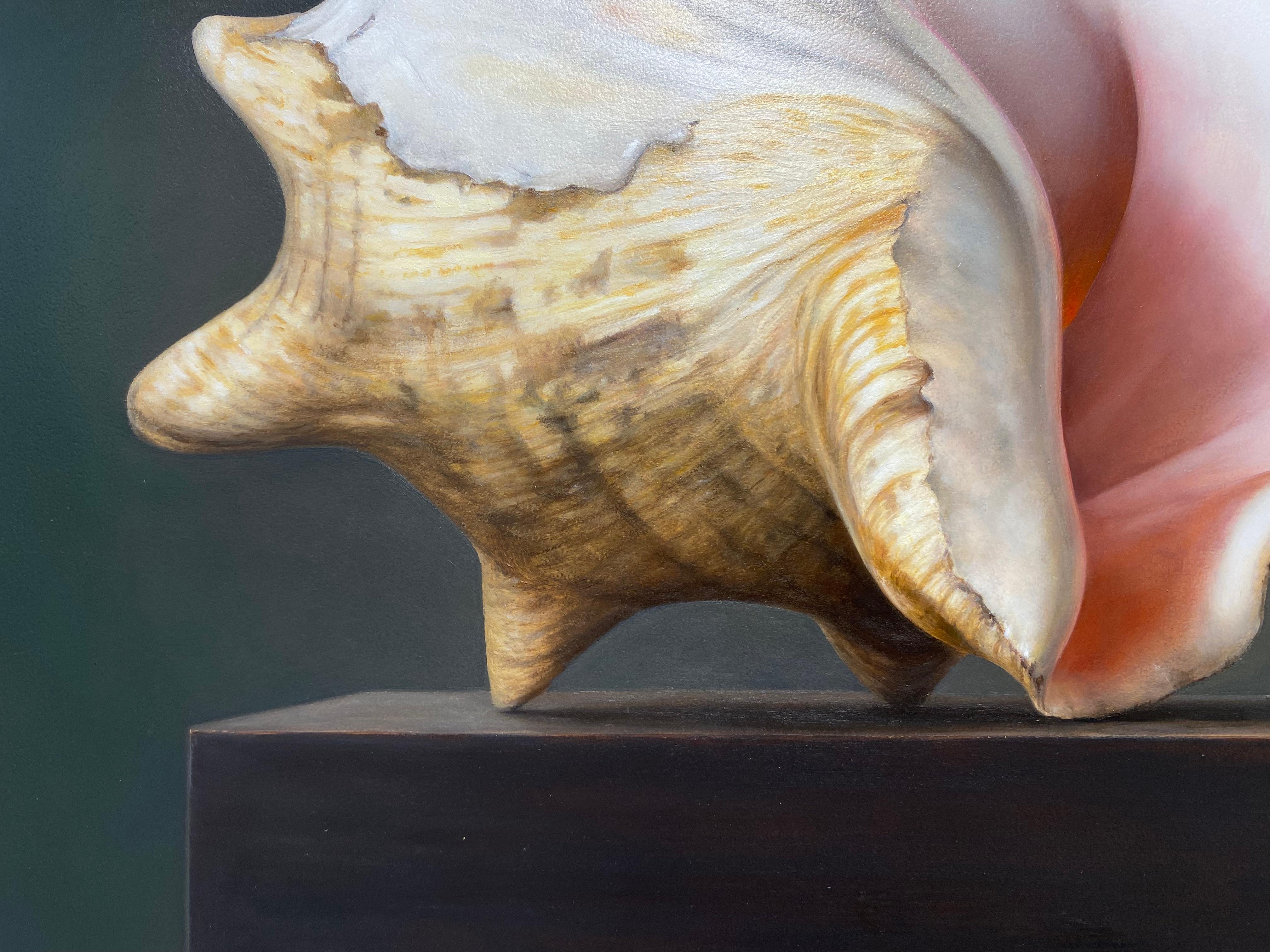Shell -21st Century Contemporary Realistic Still life Painting of a Sea Shell im Angebot 2