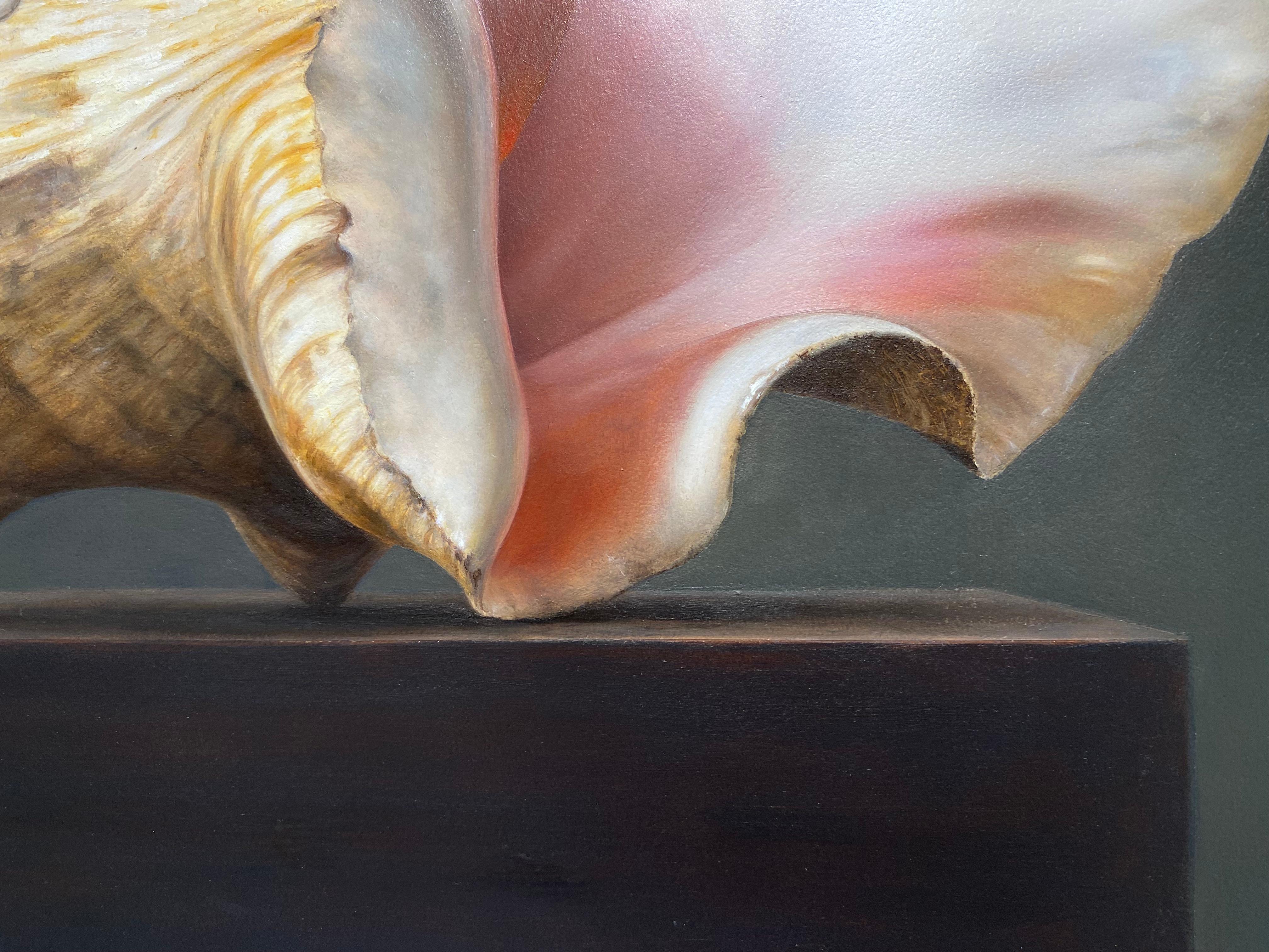 Shell -21st Century Contemporary Realistic Still life Painting of a Sea Shell im Angebot 3