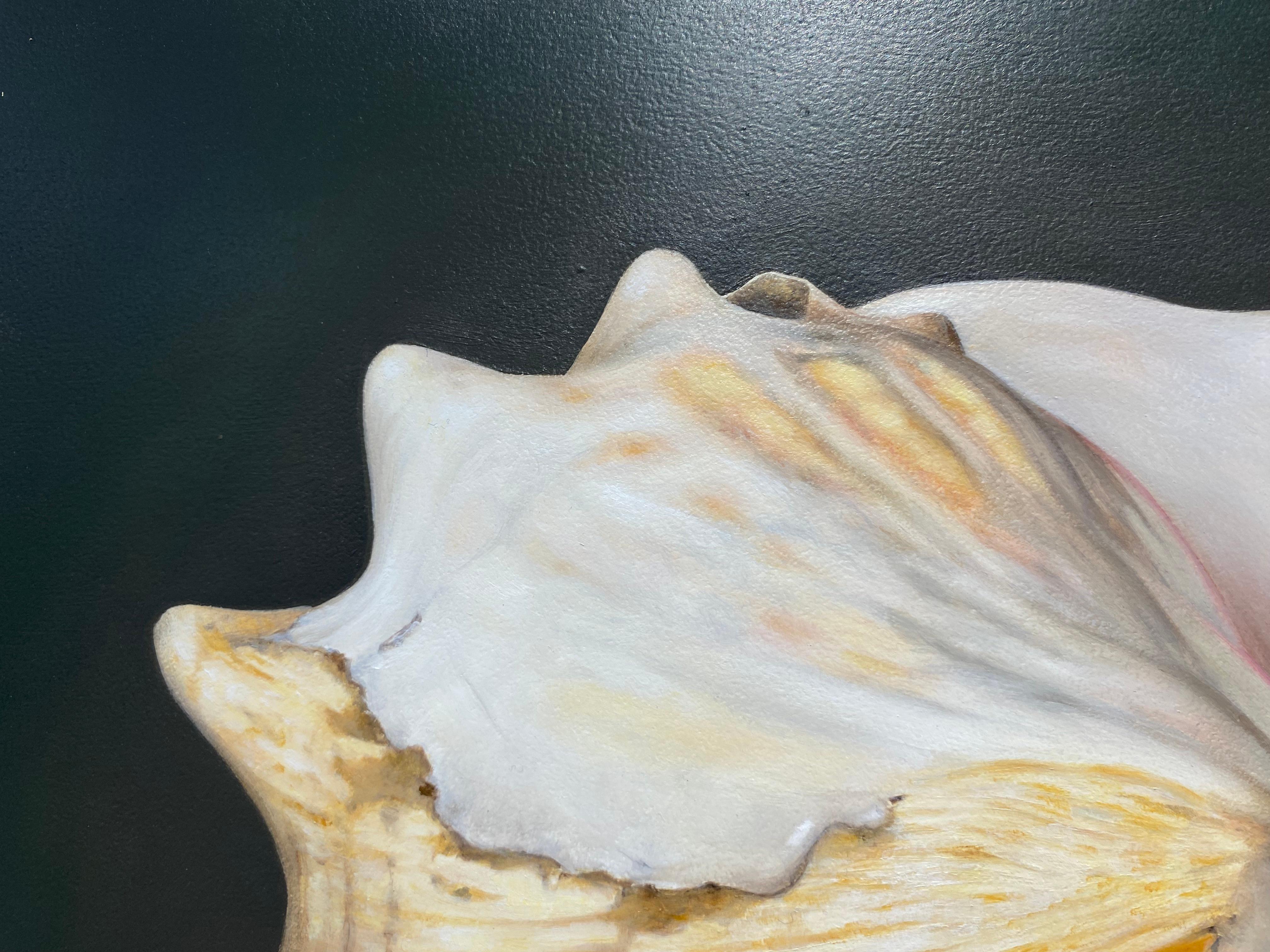Shell -21st Century Contemporary Realistic Still life Painting of a Sea Shell im Angebot 4