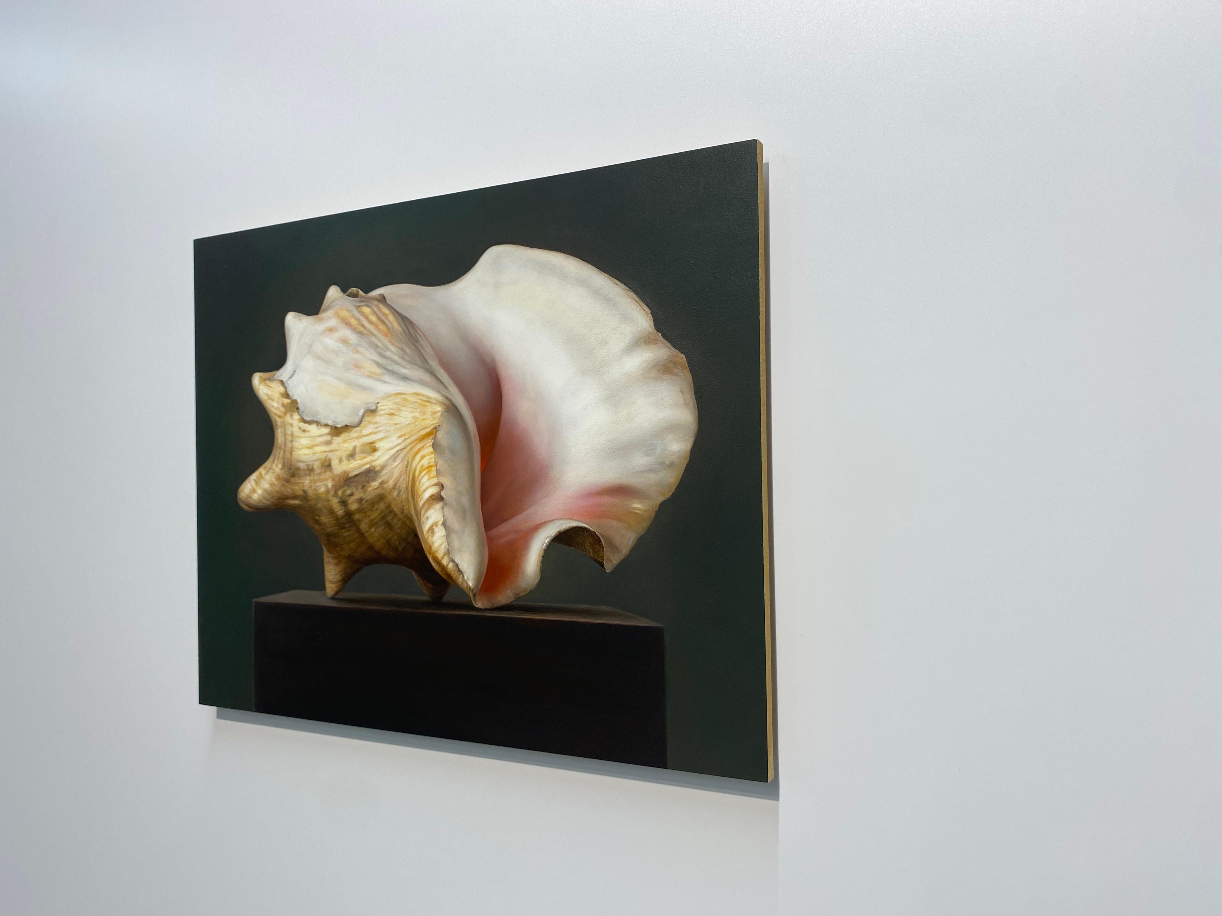 Shell -21st Century Contemporary Realistic Still life Painting of a Sea Shell im Angebot 5