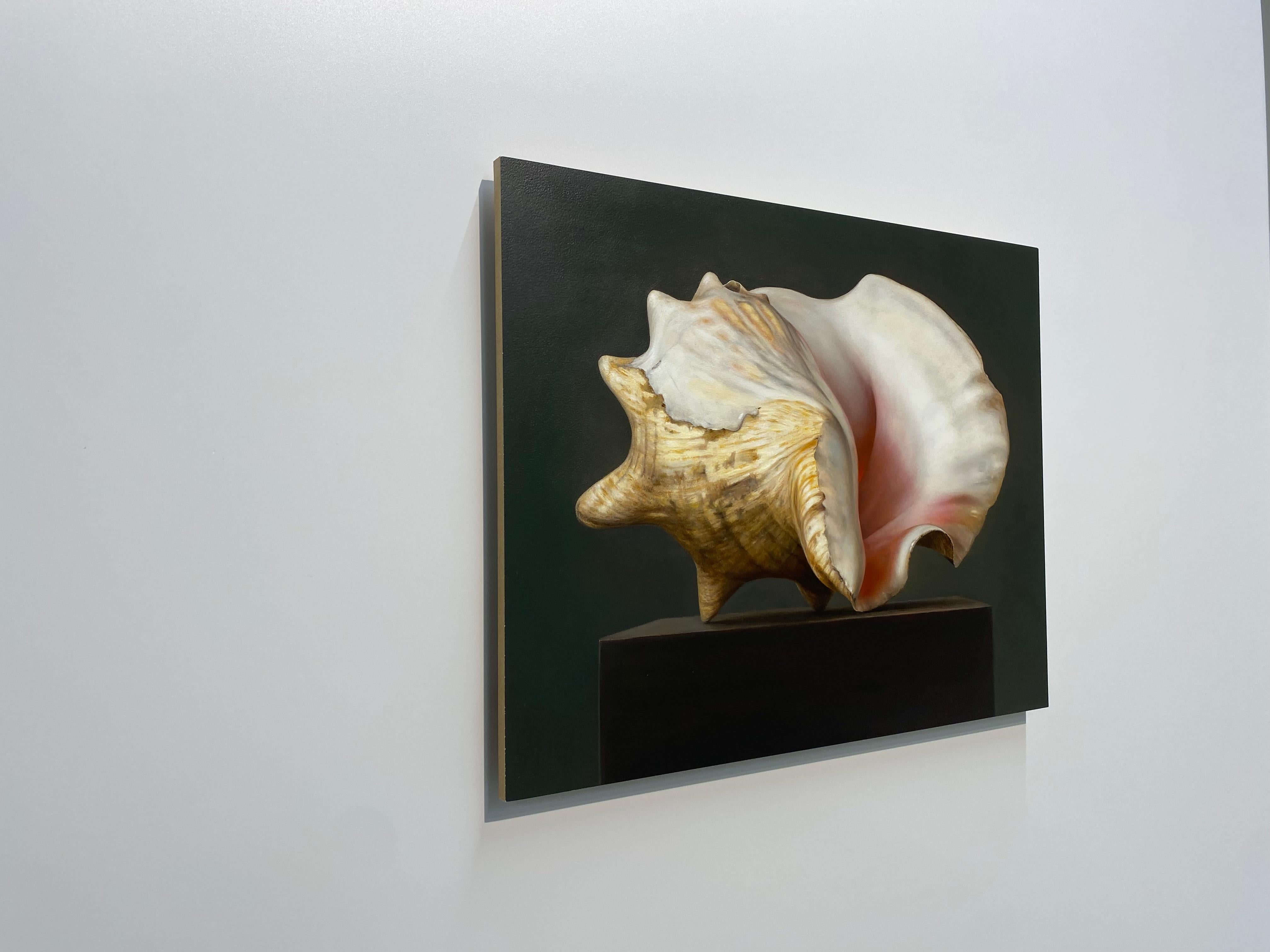 Shell -21st Century Contemporary Realistic Still life Painting of a Sea Shell im Angebot 6