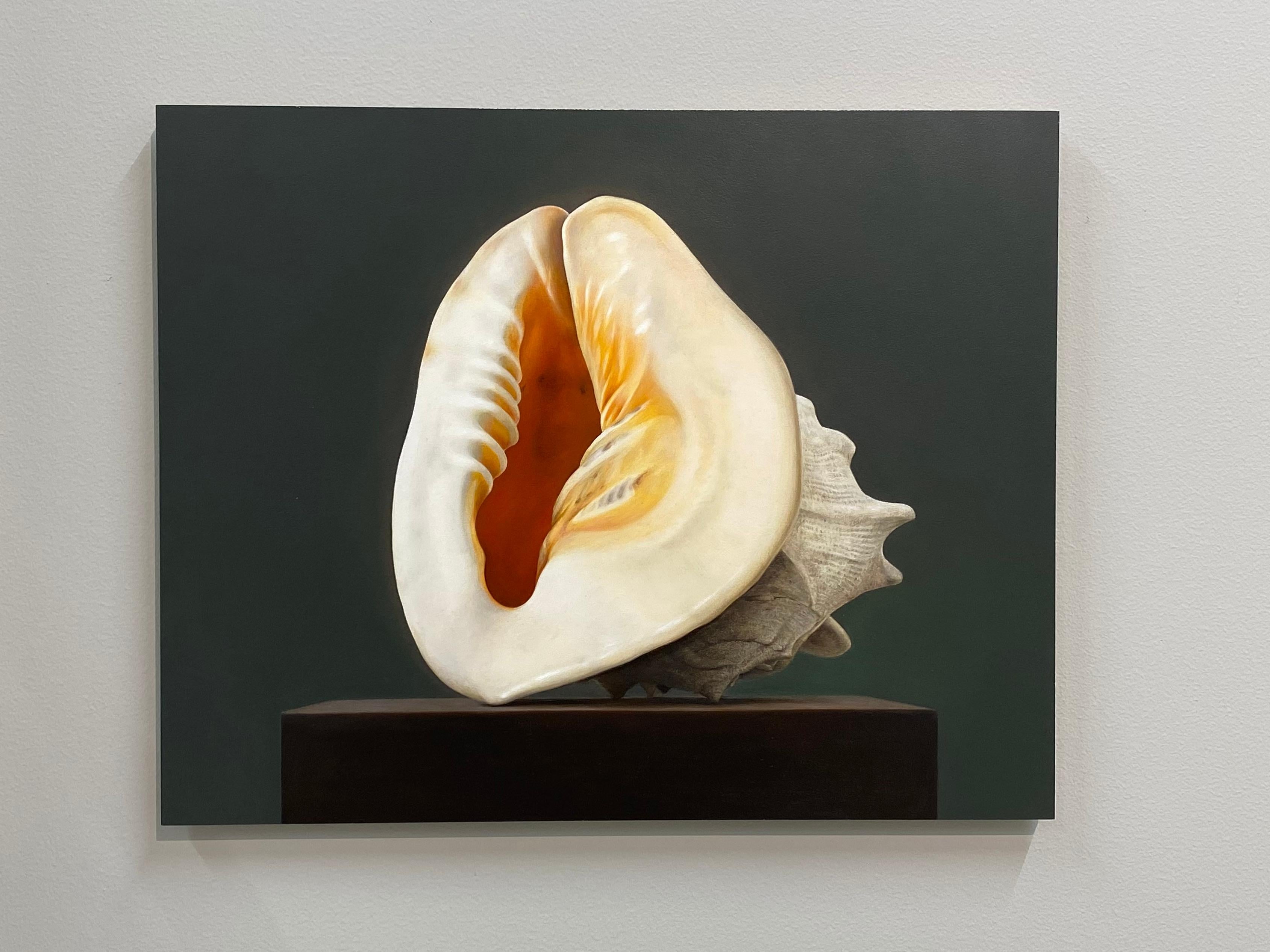 Conchiglia - Quadro Still-life iperrealistico del 21° secolo raffigurante una conchiglia - Painting di Bart Koning