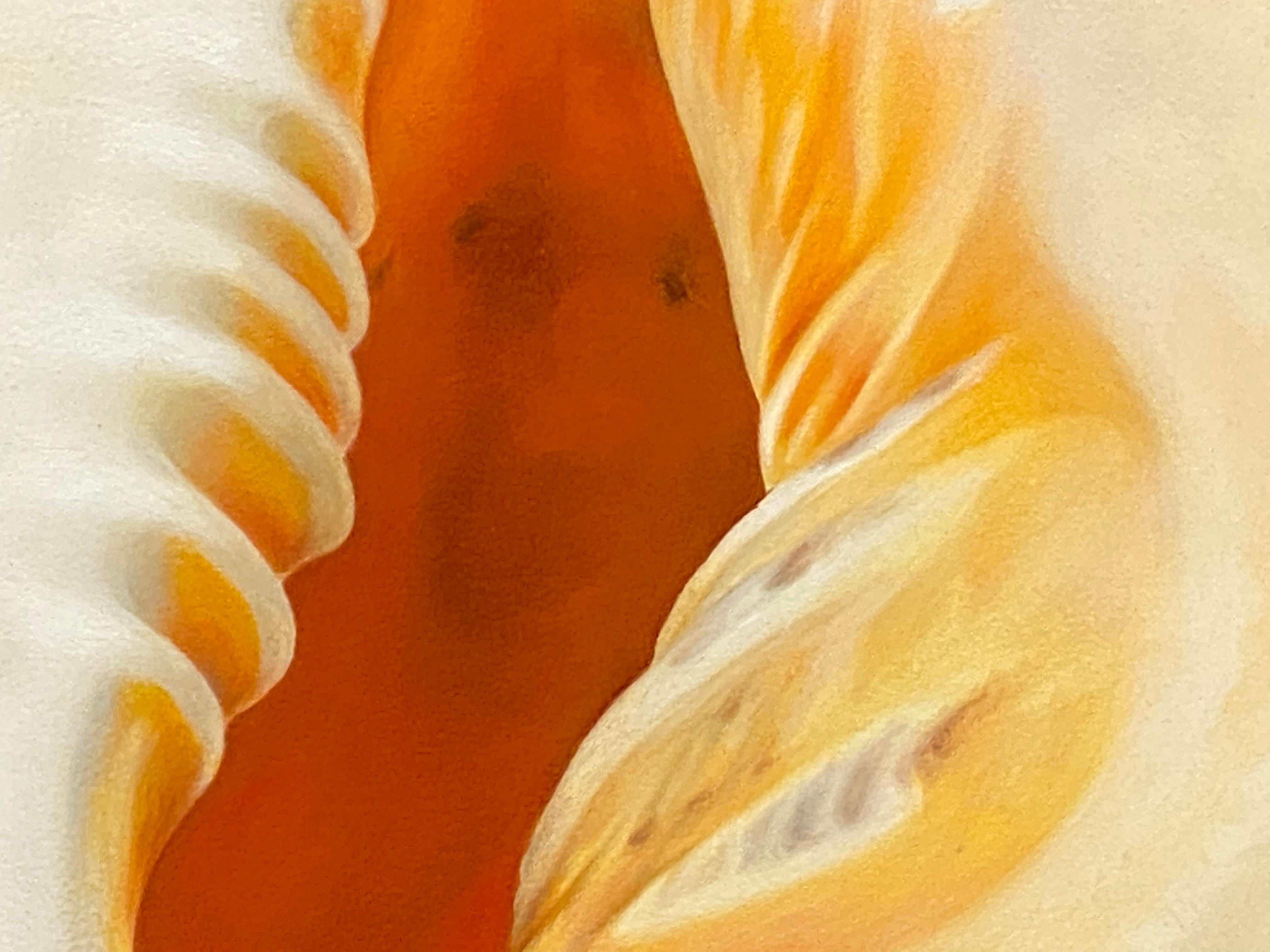 Shell - Peinture de nature morte hyperréaliste d'un coquillage, XXIe siècle  - Contemporain Painting par Bart Koning