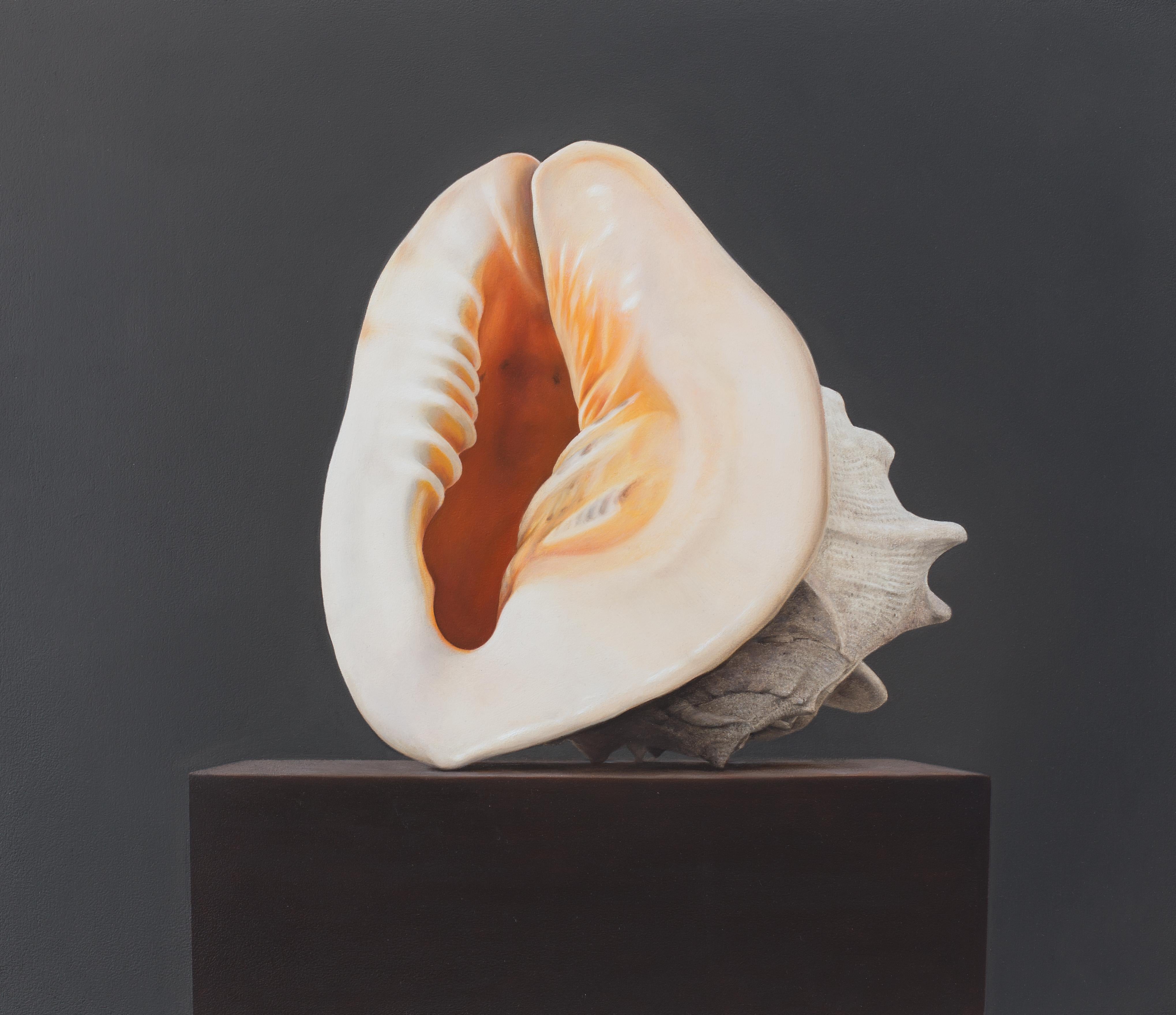 Shell - 21st Century Hyper Realistic Still-life painting of a Shell 