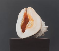 Shell - Peinture de nature morte hyperréaliste d'un coquillage, XXIe siècle 