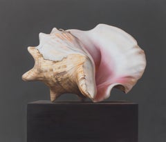 Shell (2) - 21st Century Hyper Realistic Still-life painting of a Shell 