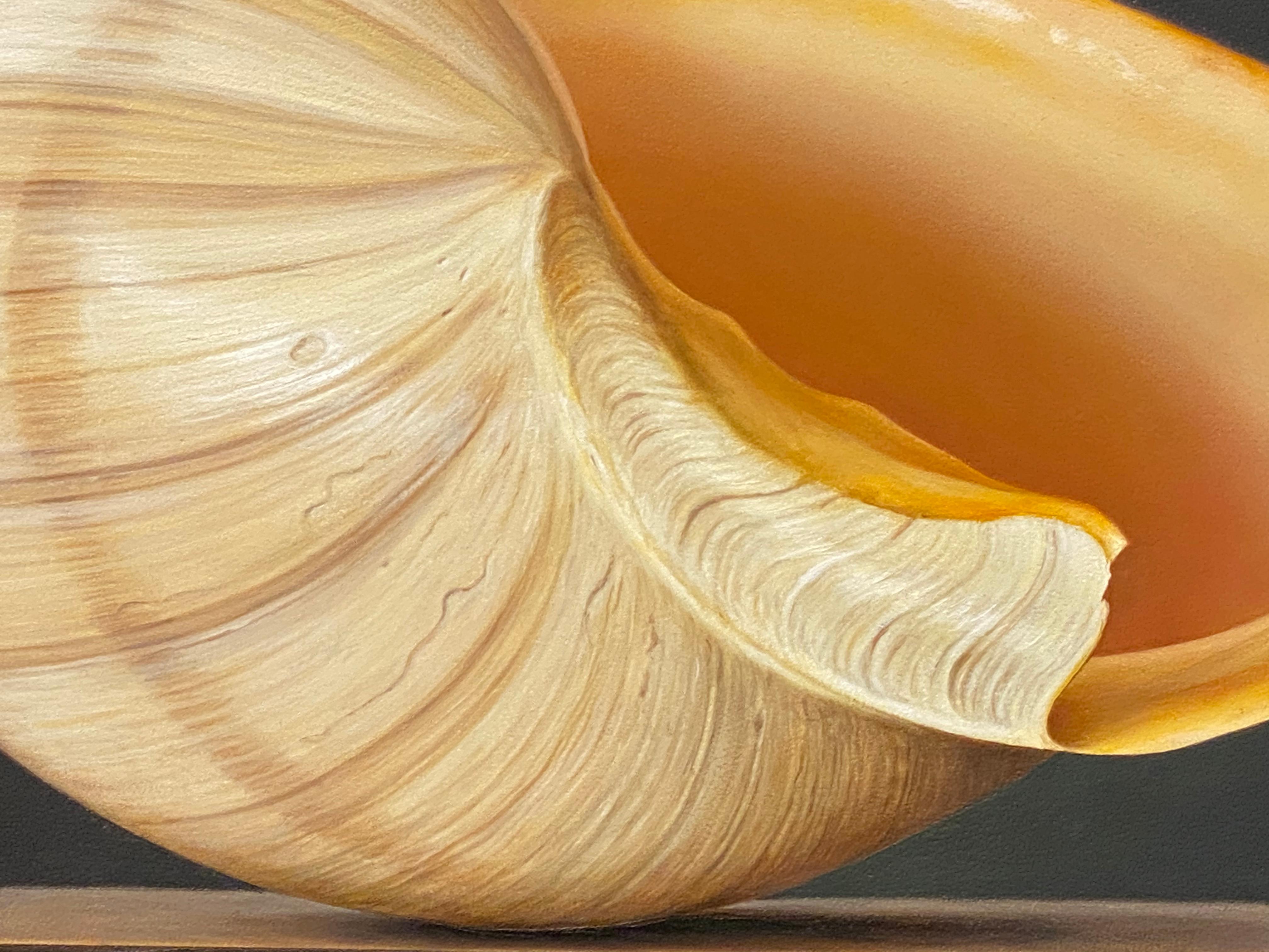 Shell (3) - 21st Century Hyper Realistic Still-life painting of a Shell  - Contemporary Painting by Bart Koning
