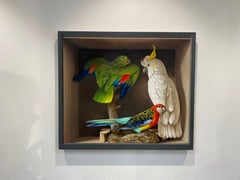 Trois oiseaux - Peinture de nature morte du 21e siècle représentant une boîte avec trois oiseaux empaillés