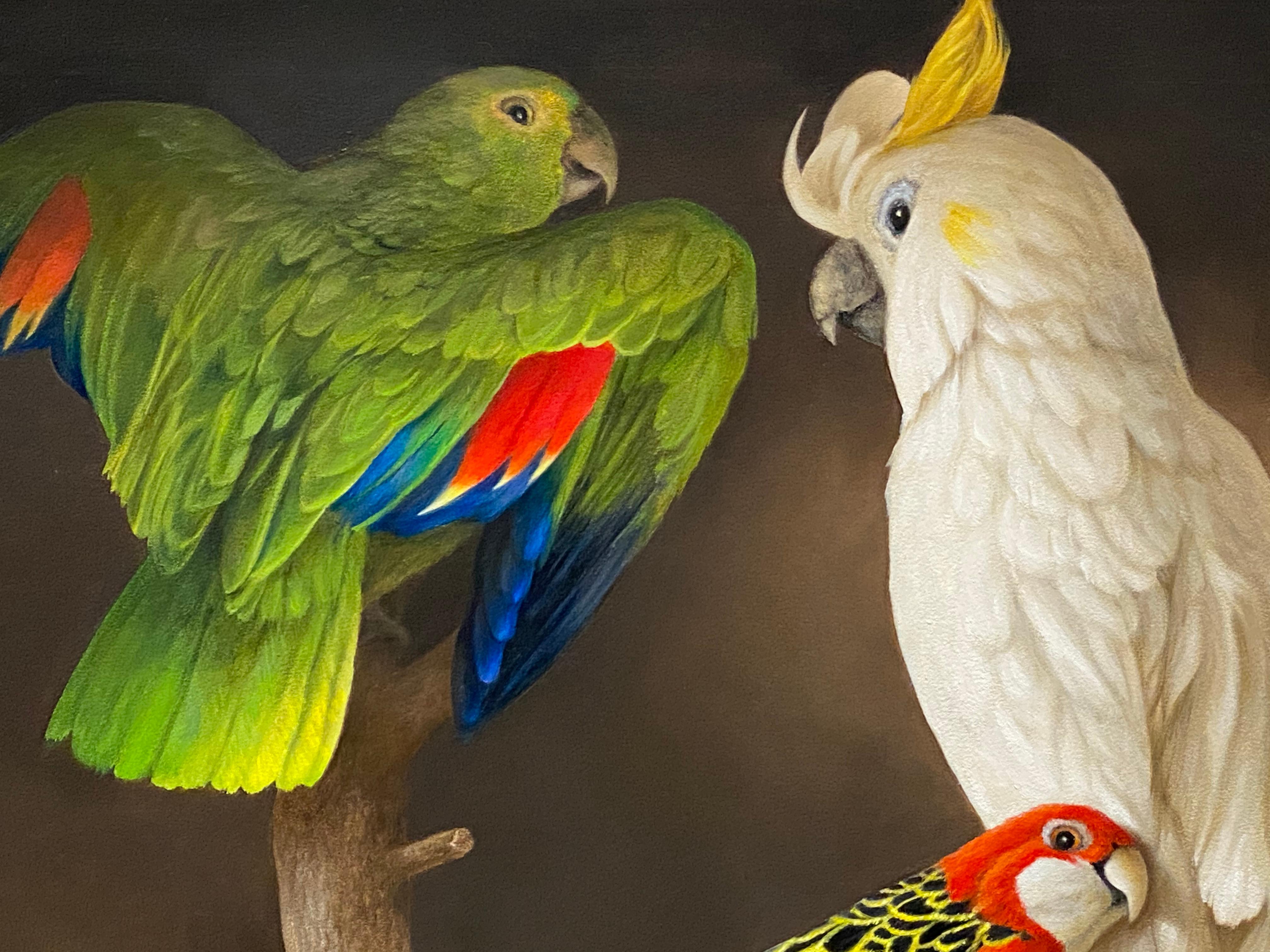 Drei Vögel – Stillleben des 21. Jahrhunderts, Gemälde einer Schachtel mit drei getrockneten Vögeln (Schwarz), Still-Life Painting, von Bart Koning
