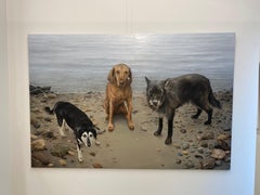 Tre amici felici - Quadro di paesaggio contemporaneo con cani del 21° secolo