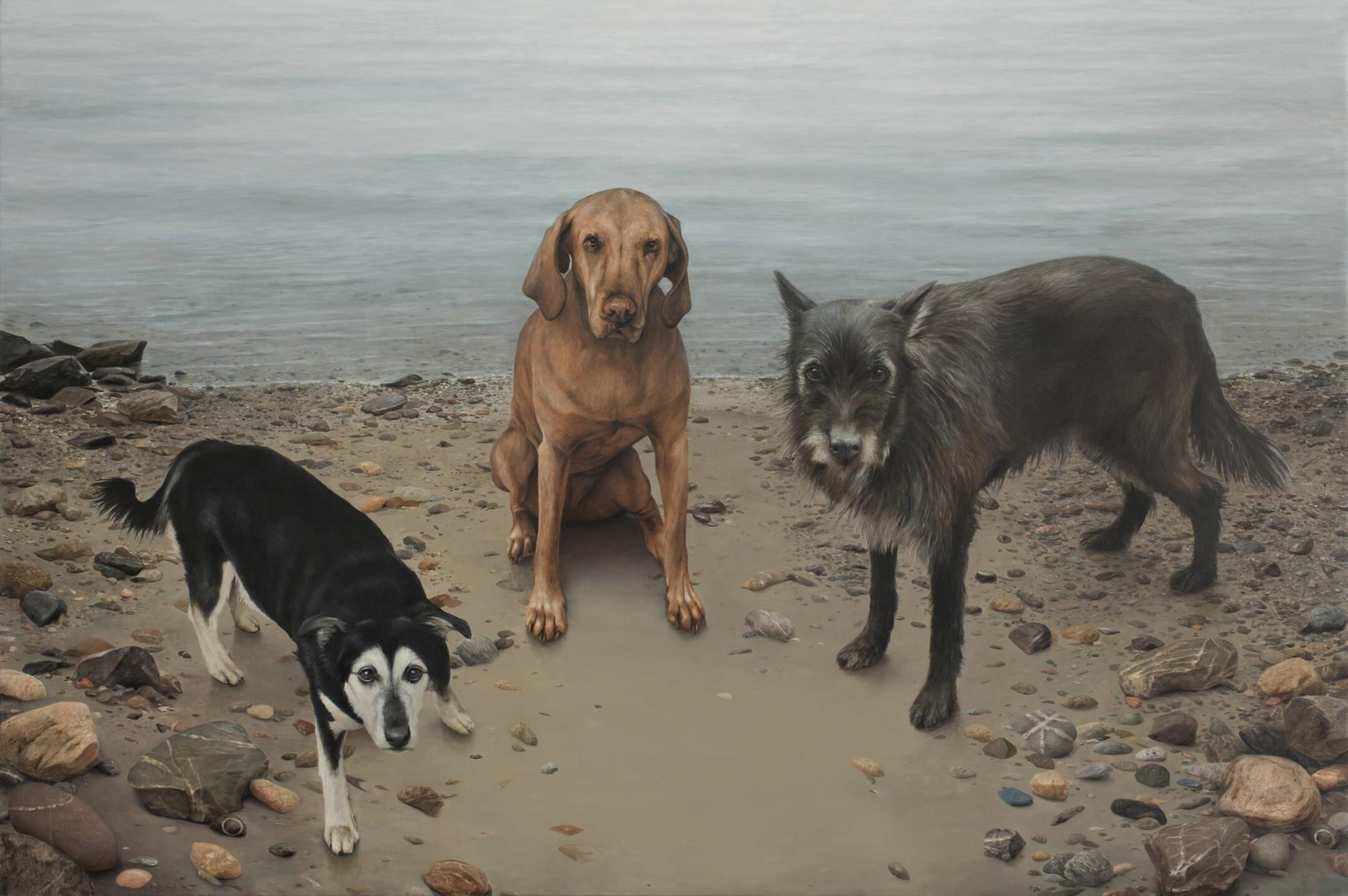 Animal Painting Bart Koning - Trois amis heureux - peinture de paysage contemporaine du 21e siècle avec chiens