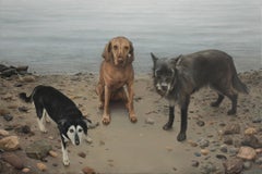 Animal Paintings
