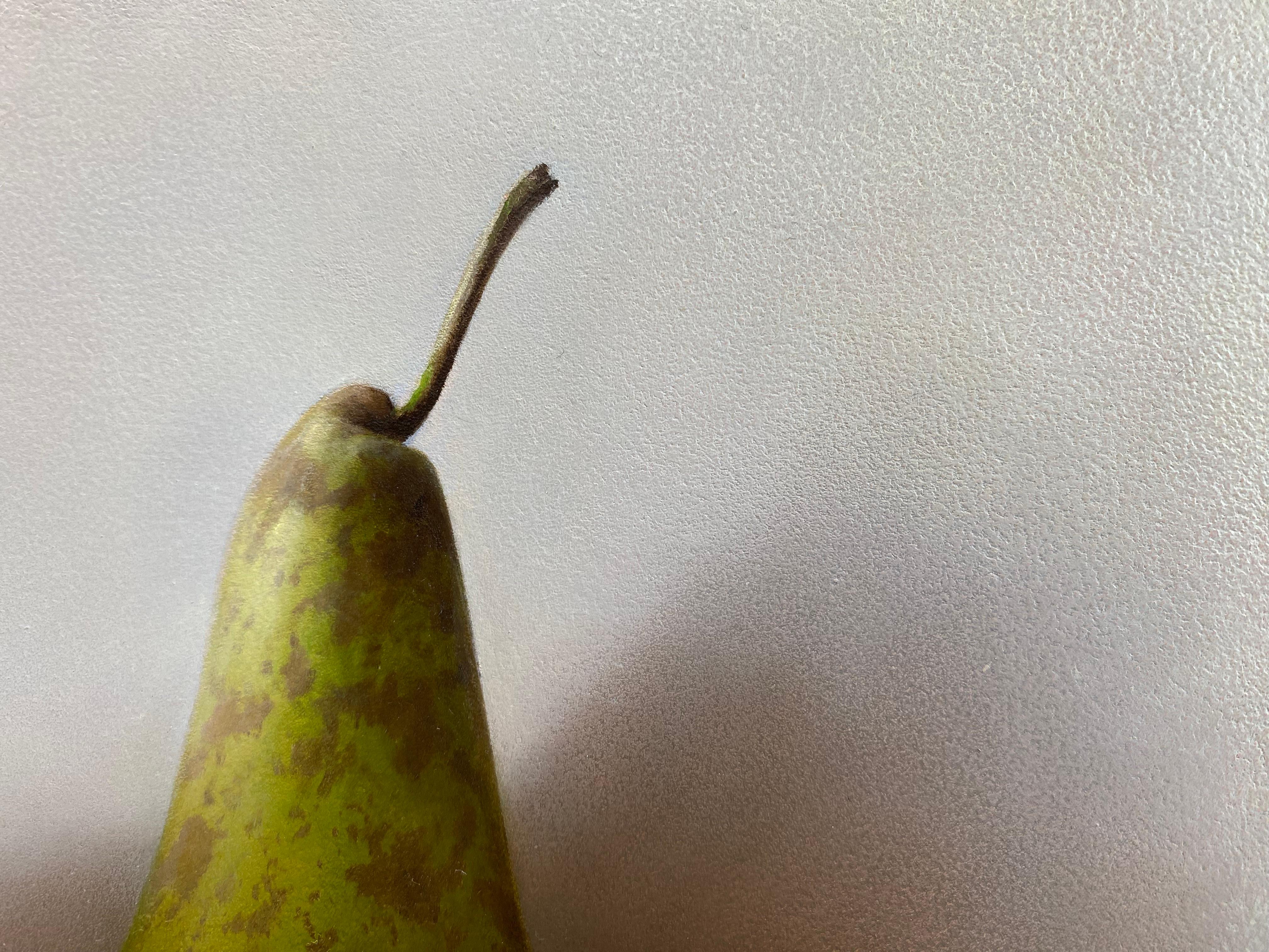 Zwei Birnen -21. Jahrhundert Zeitgenössische realistische Stillleben Gemälde von Obst (Grau), Figurative Painting, von Bart Koning