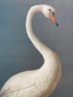 White Swan- 21st Century Hyper Realistic painting of a Black Swan in a Studio