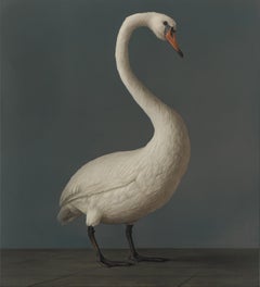 White Swan- 21st Century Hyper Realistic painting of a Black Swan in a Studio