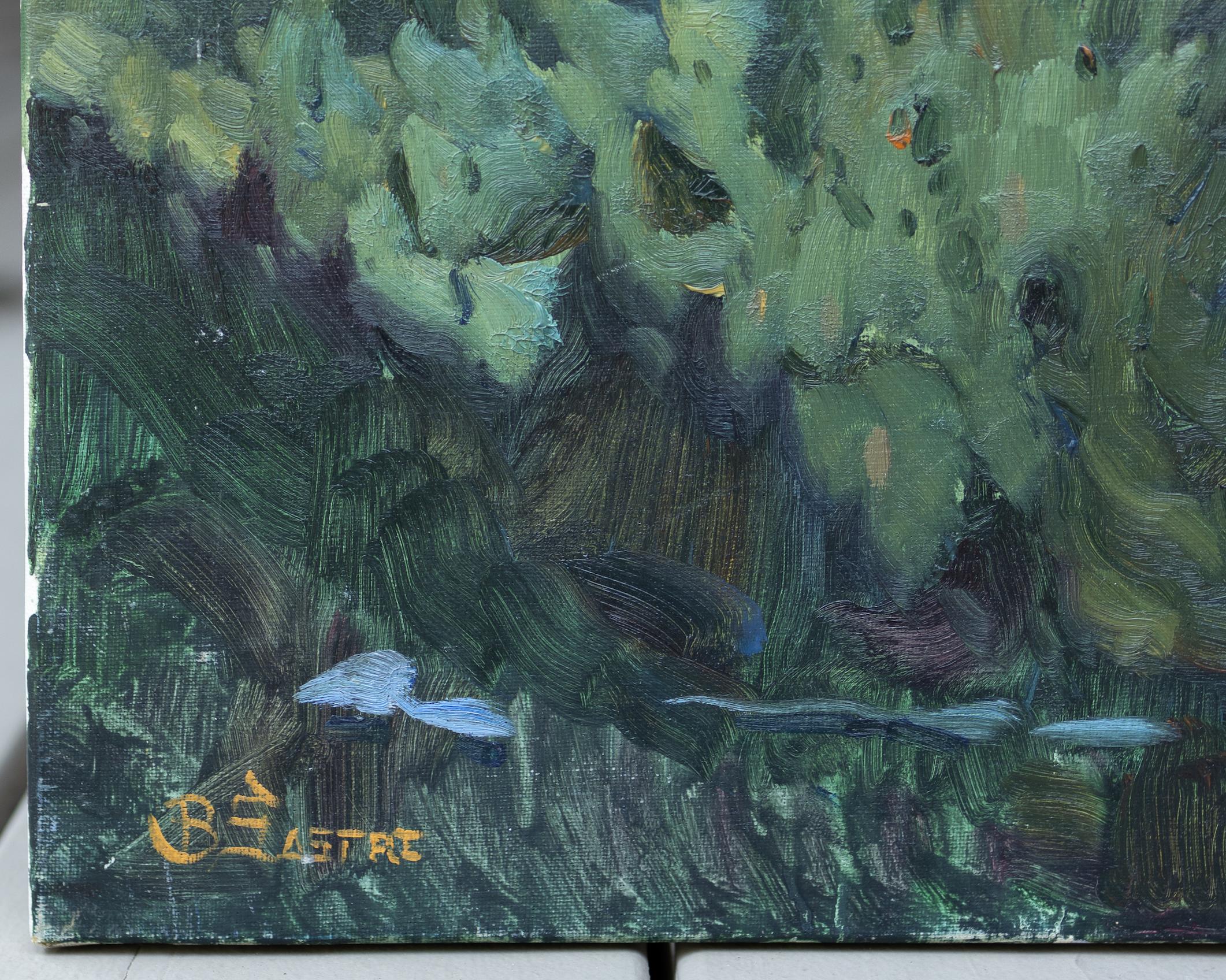 Des canards dans un étang  - Painting de Bartolome Sastre