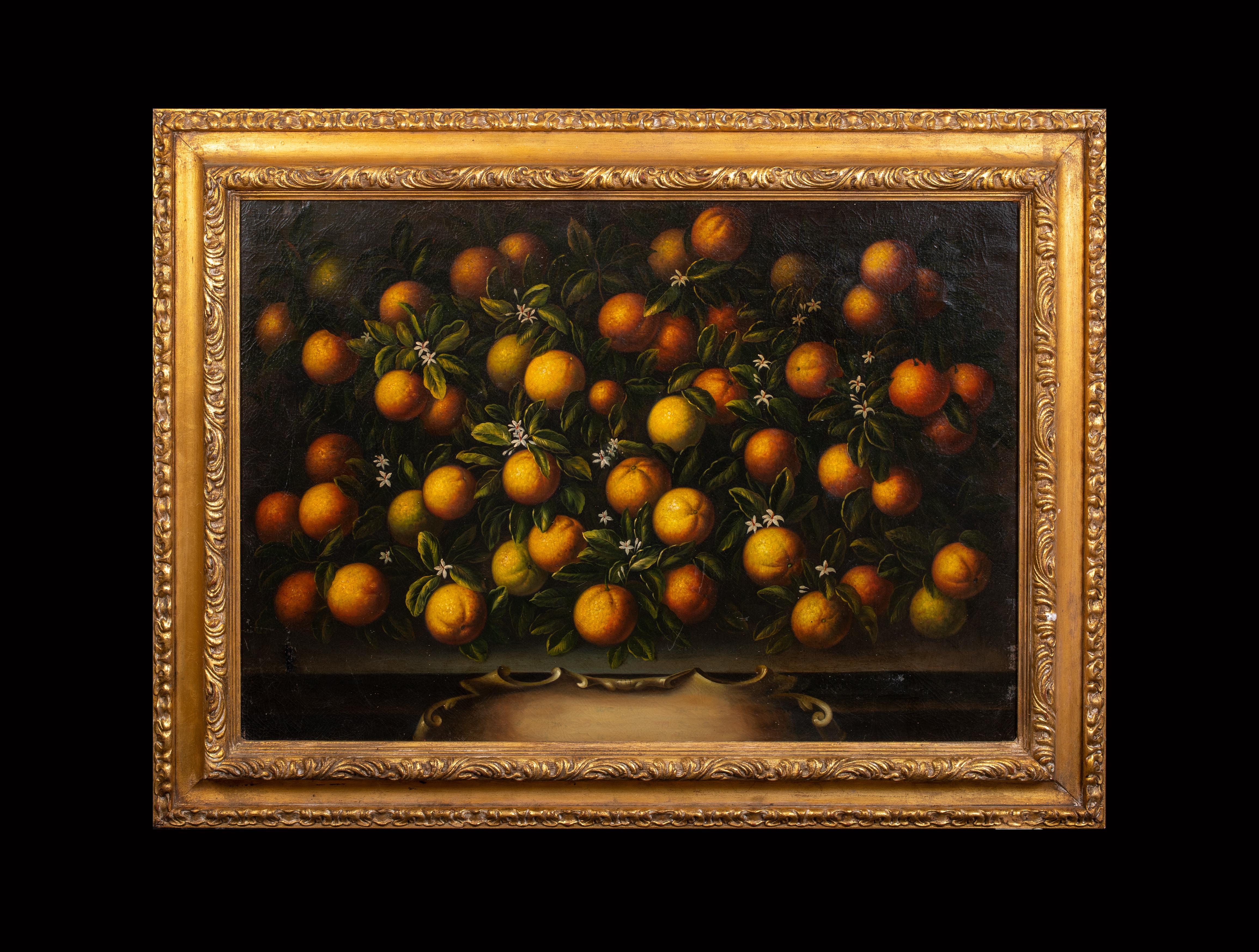 Natura morta di arance toscane, XVIII secolo - Painting di Bartolommeo Bimbi