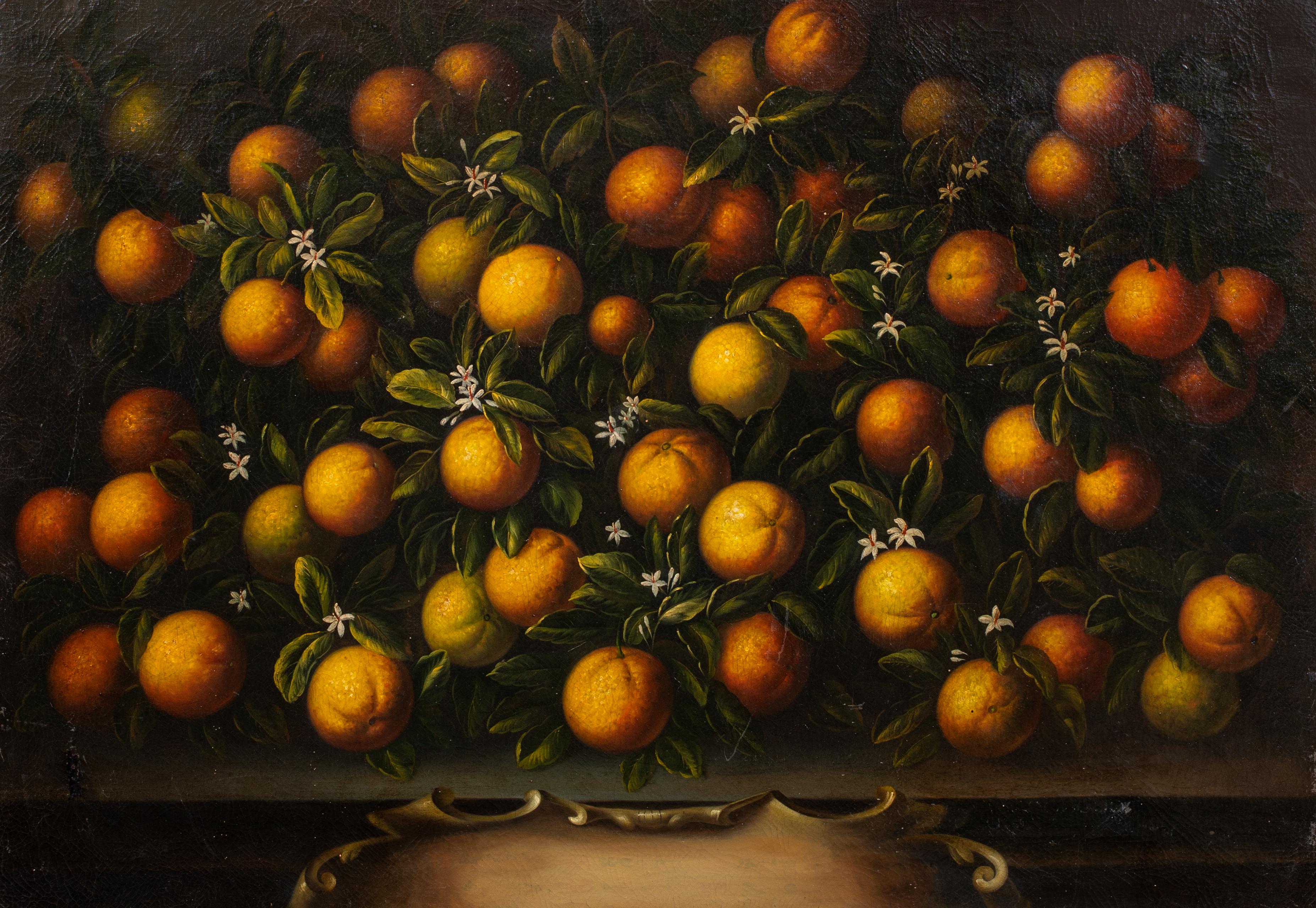 Natura morta di arance toscane, XVIII secolo

cerchio di Bartolomeo BIMBI (1648-1730) - uno o una coppia in vendita

Grande natura morta di scuola fiorentina del XVIII secolo, olio su tela, arance su un manto di pietra. Qualità e condizioni