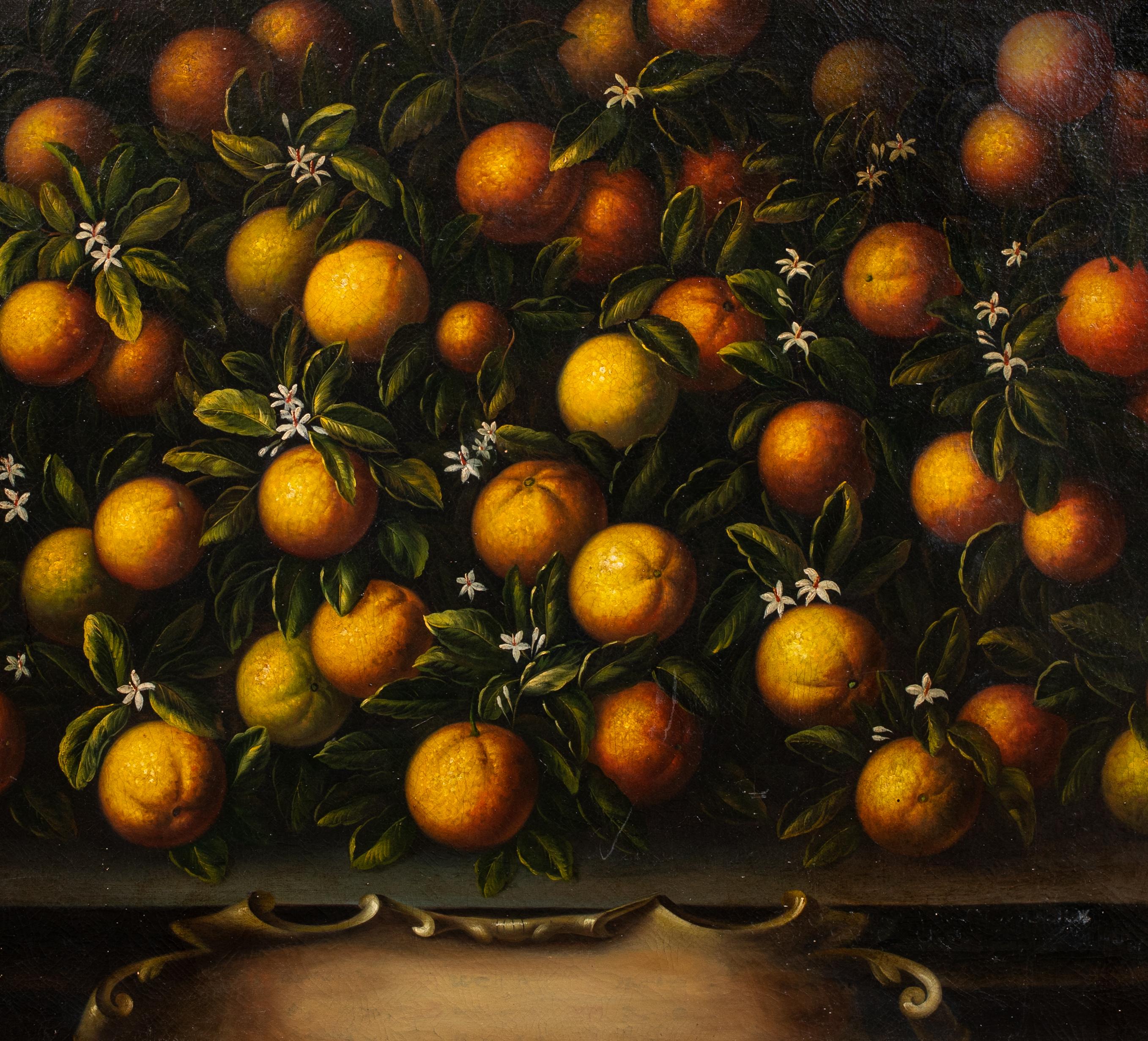 Natura morta di arance toscane, XVIII secolo 3